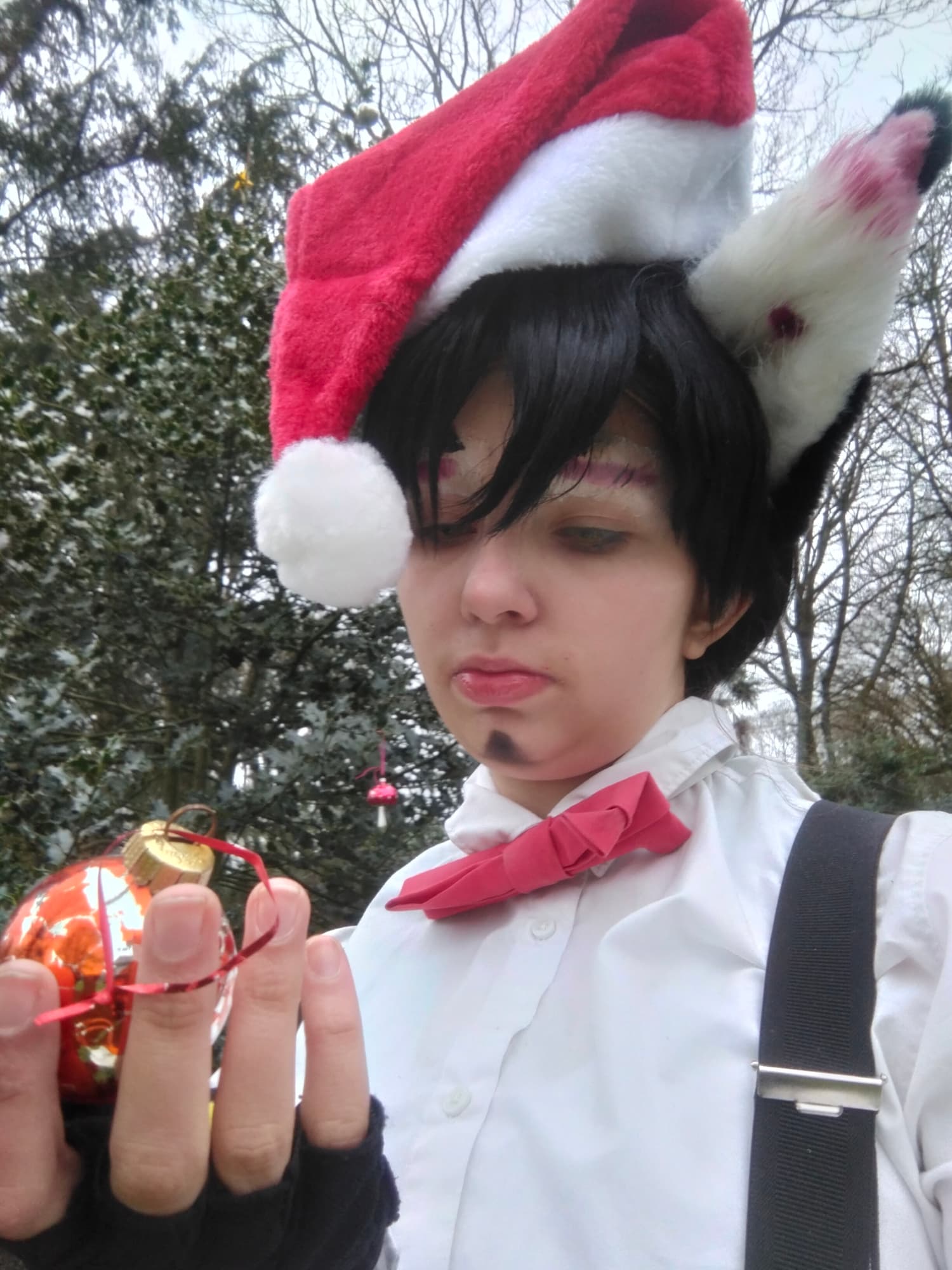 Husker de Noël  - Photo 3