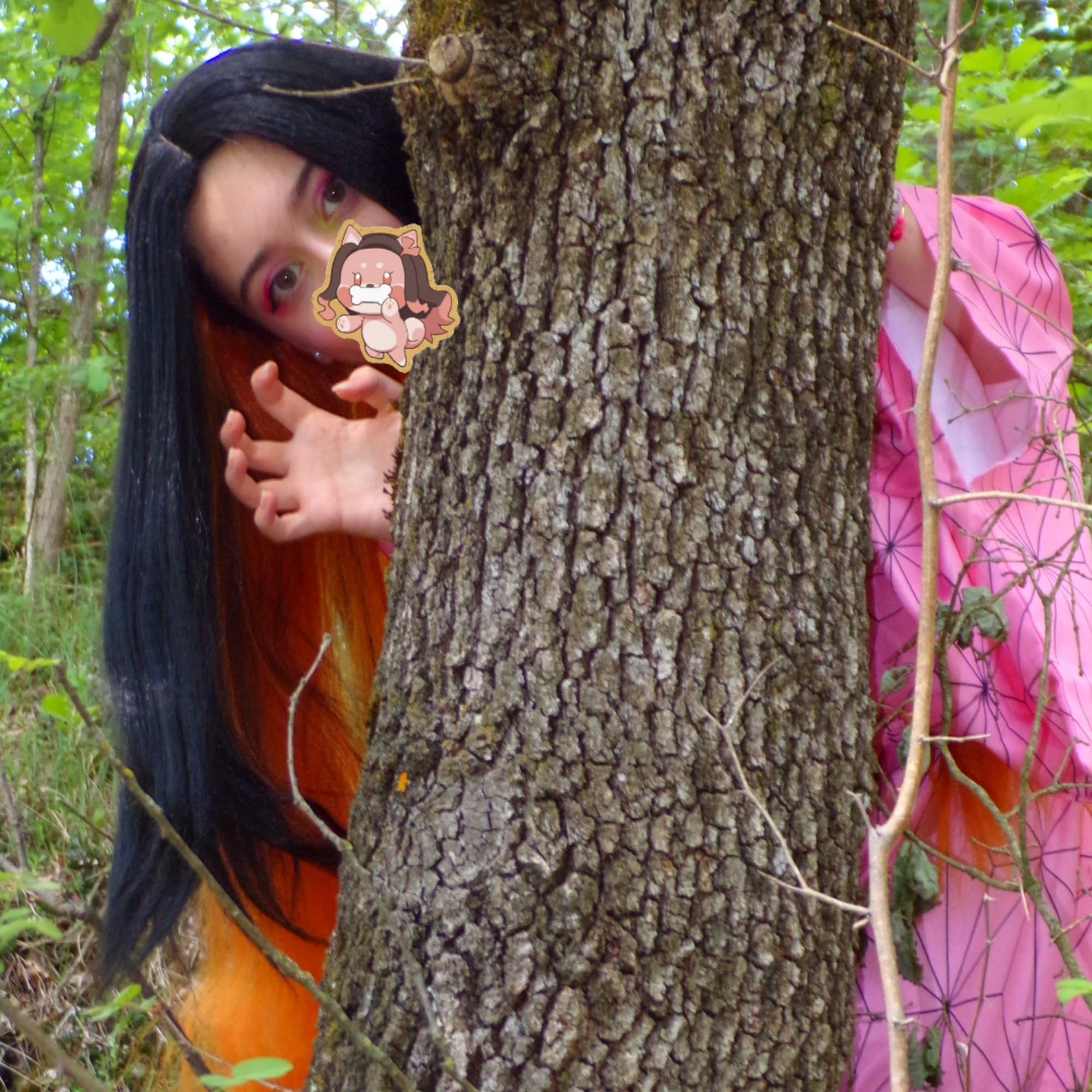 Nezuko - Photo 6