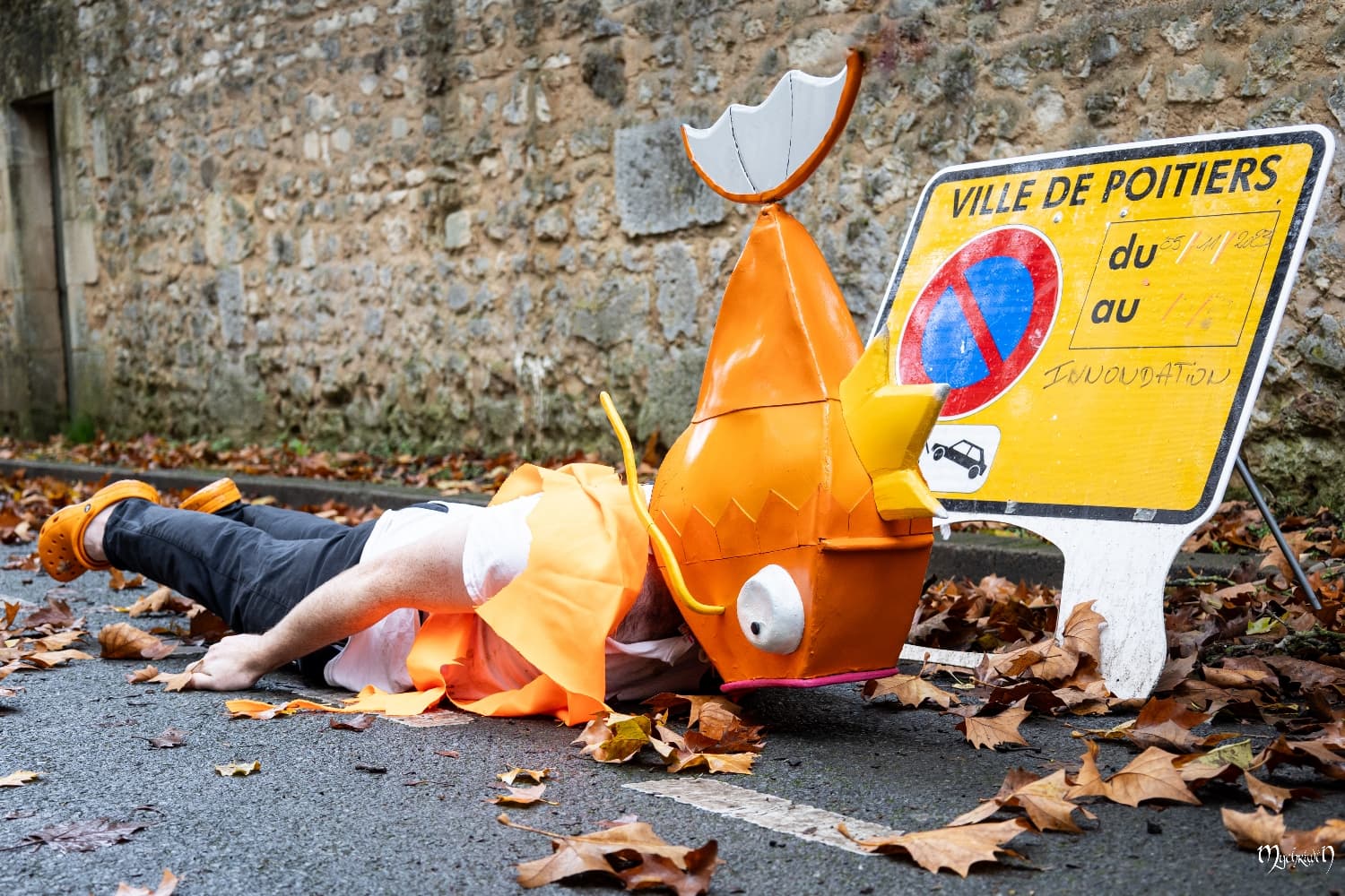 Gare à Pict'Asia - Photo 6