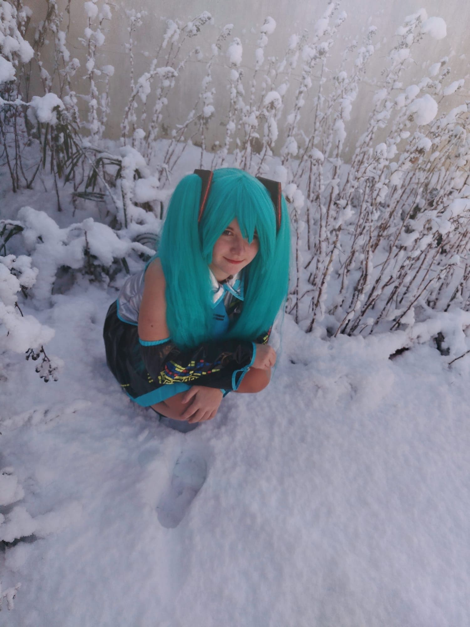 Hatsune Miku - Photo 5