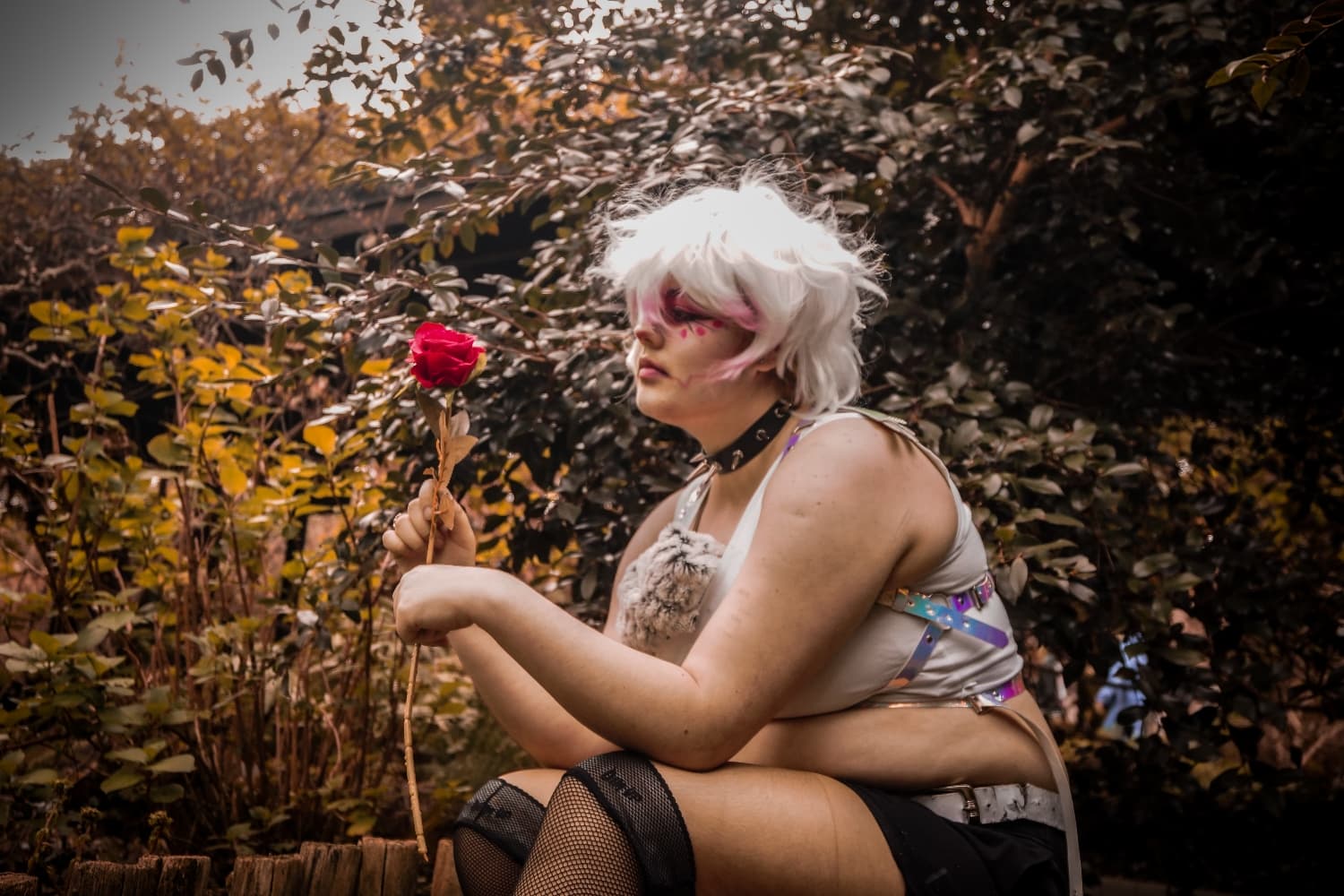 Angel Dust - Photo 4