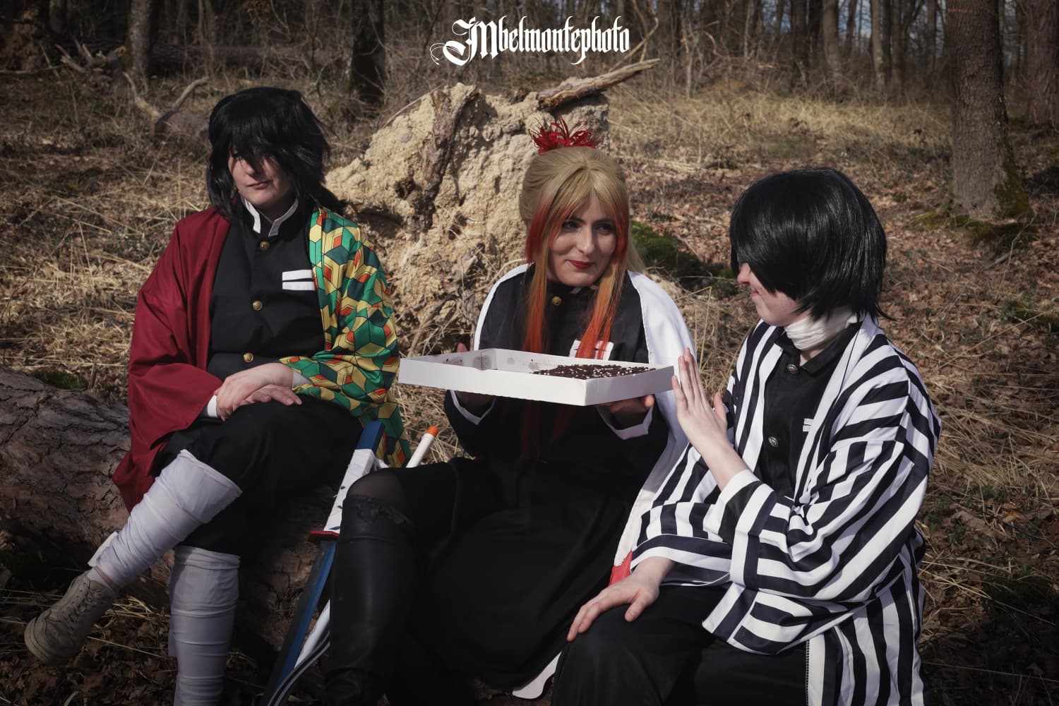 Demon slayer  - Photo 23