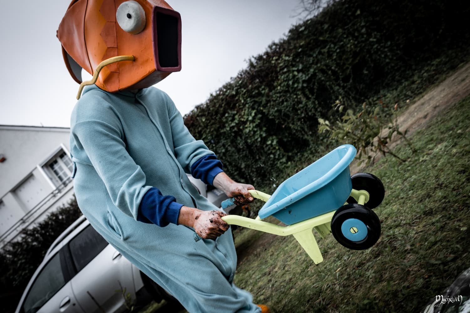 La plantation  - Photo 3