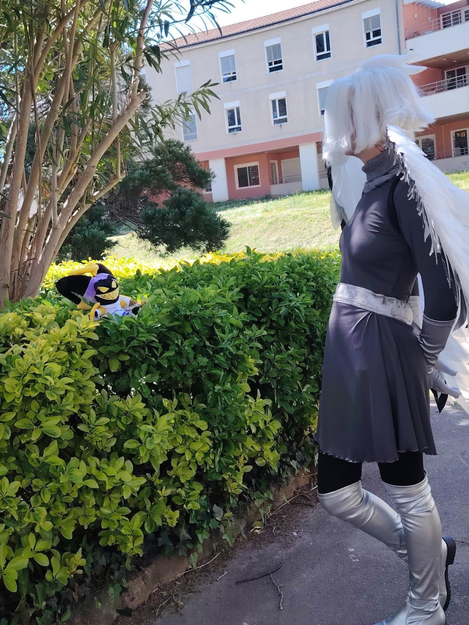 Lute - Photo 17