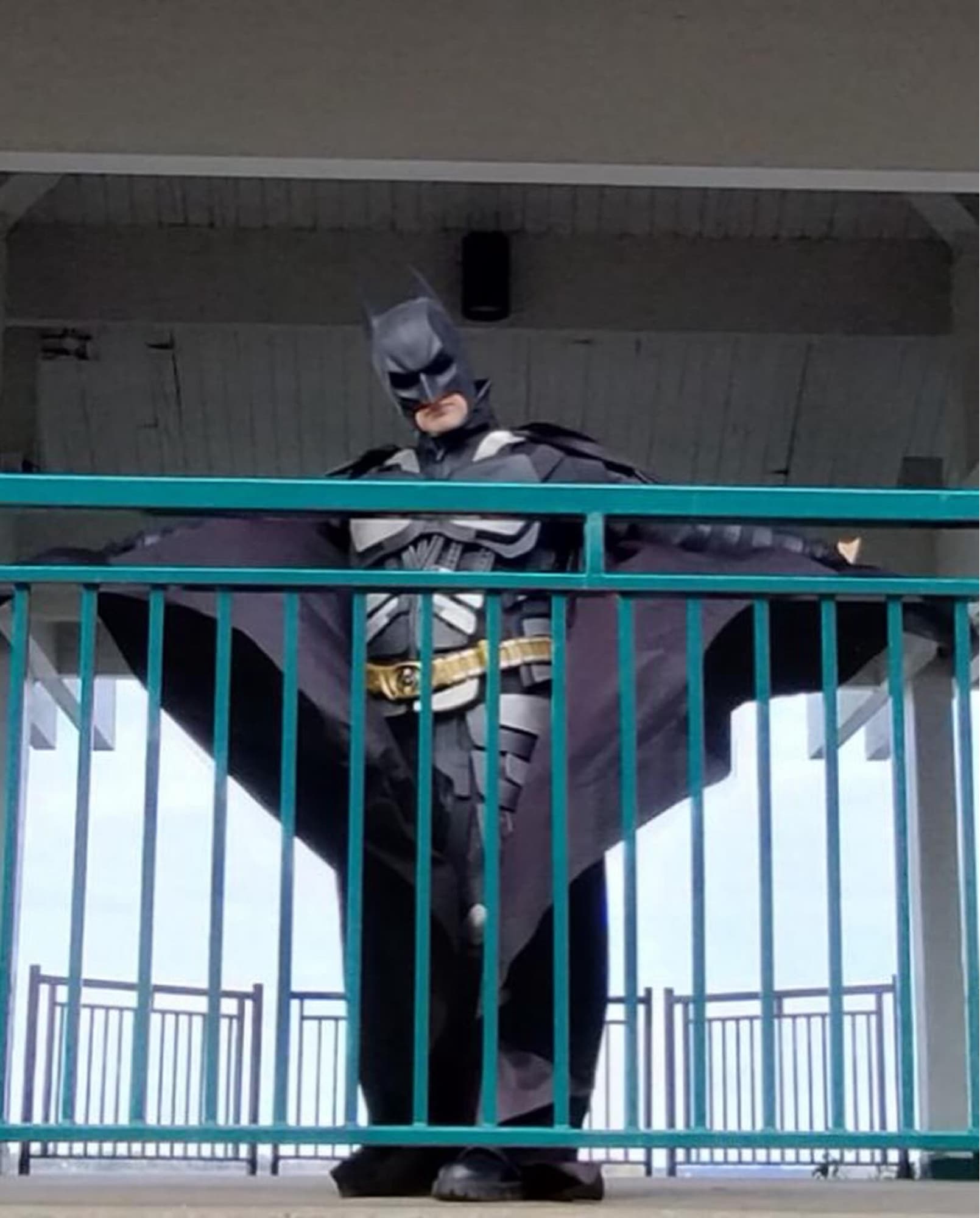 Batman TDK - Photo 14