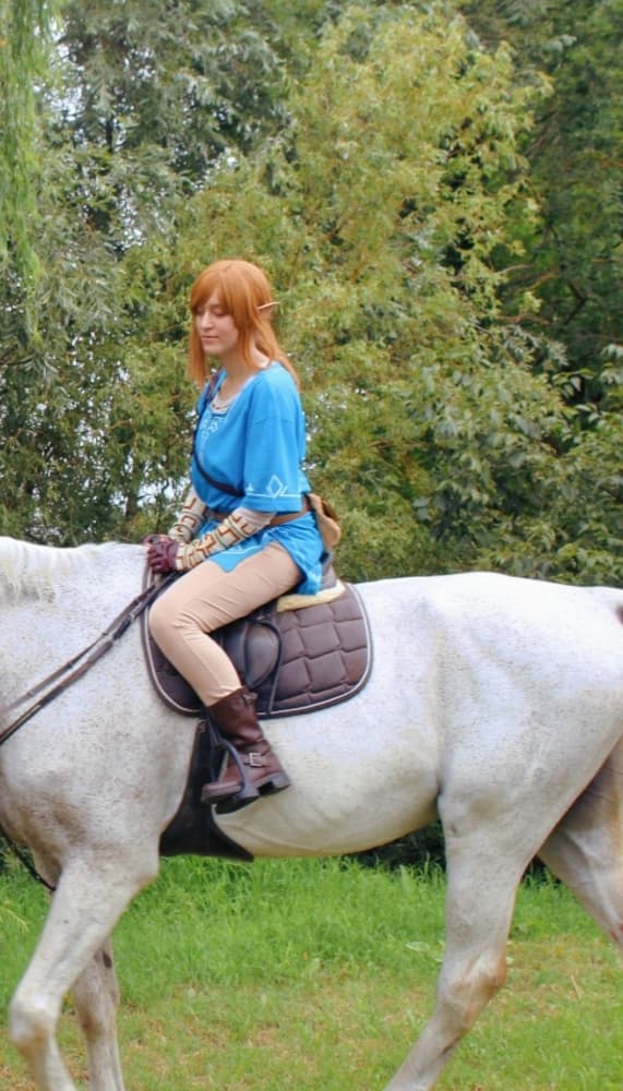 Link (Botw) - Photo 13