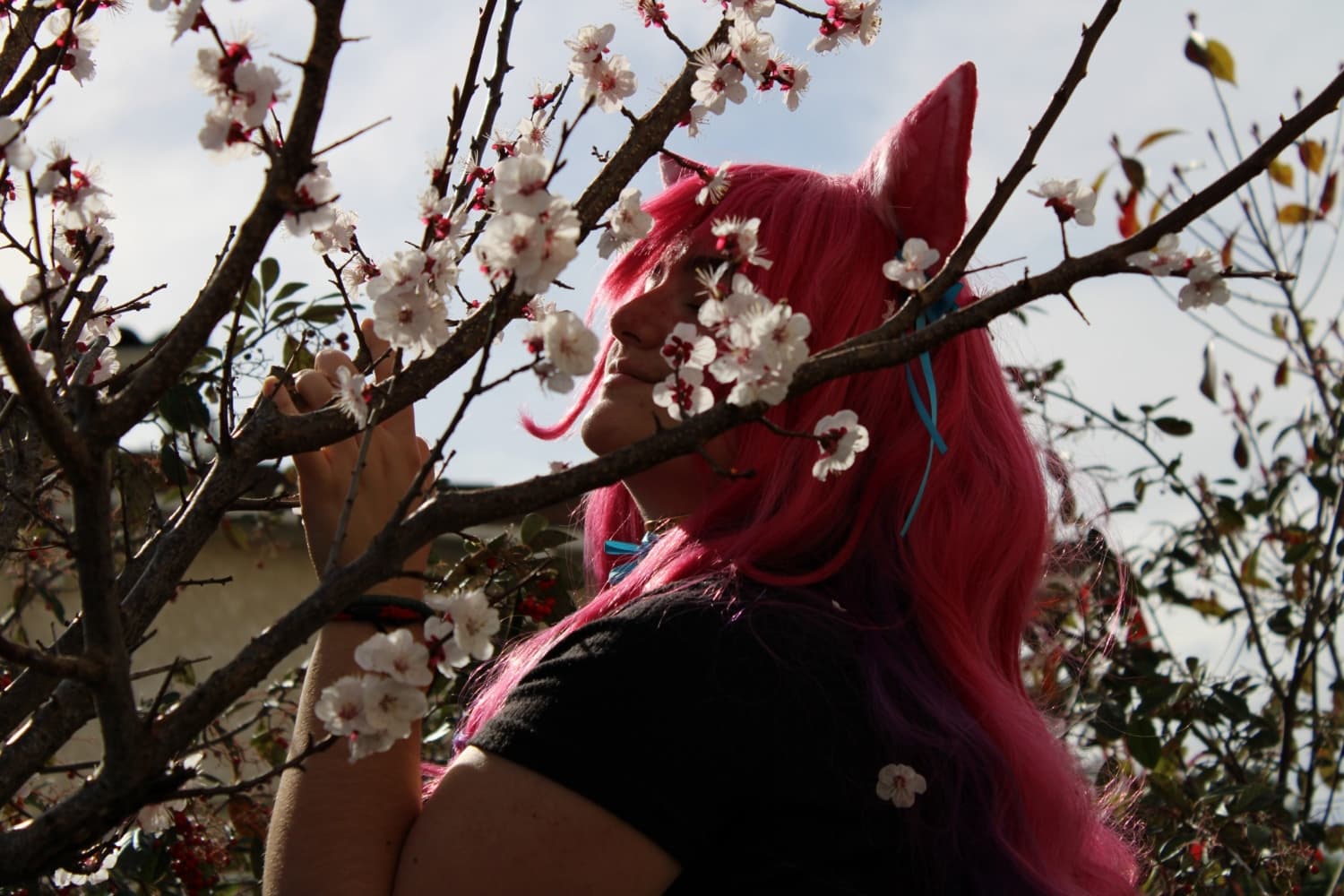 Ahri spirit blossom - Photo 10