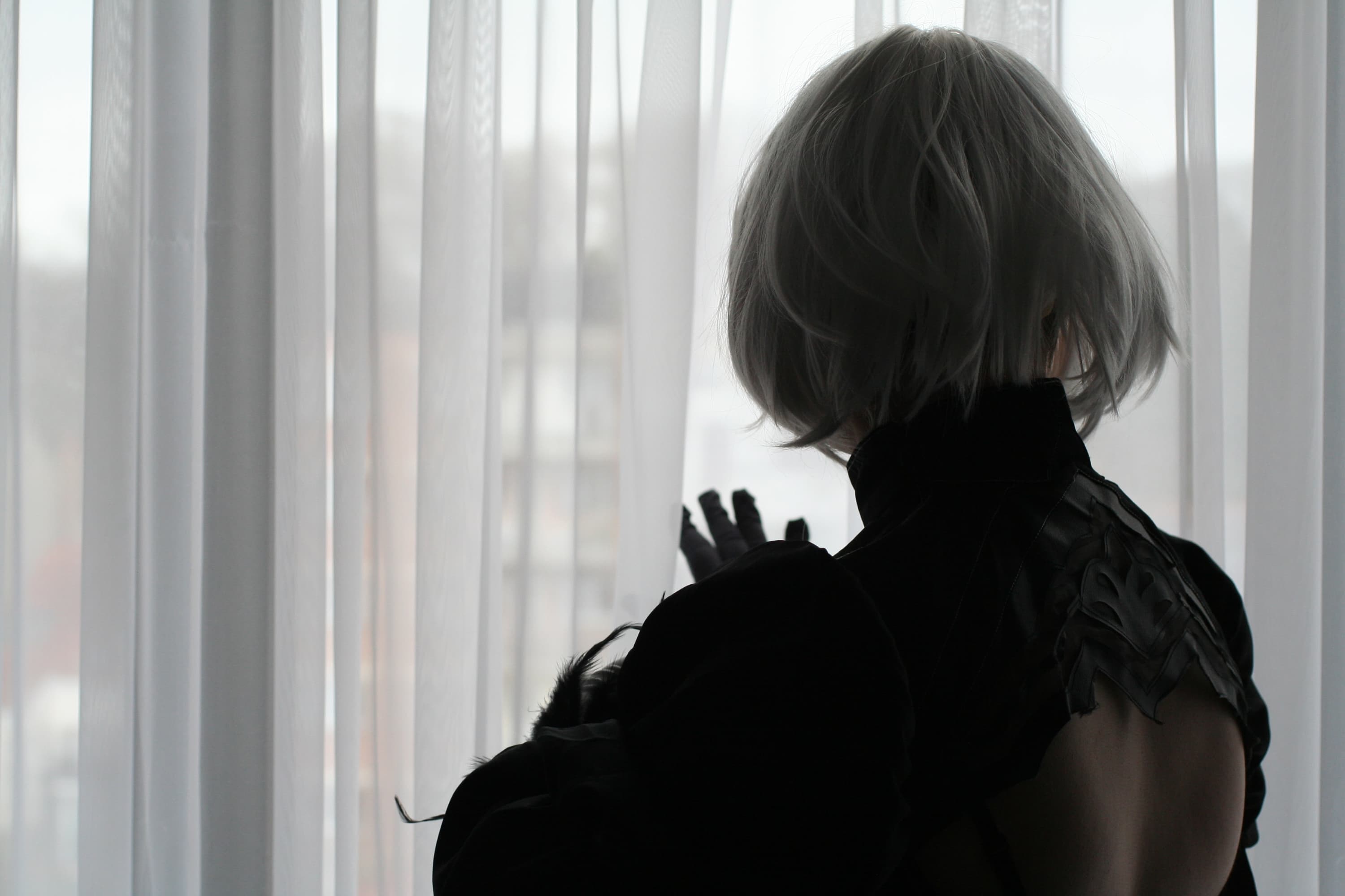 2B - Photo 6