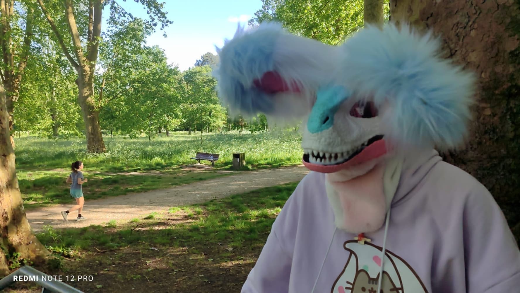 Debut du printemps  - Photo 16