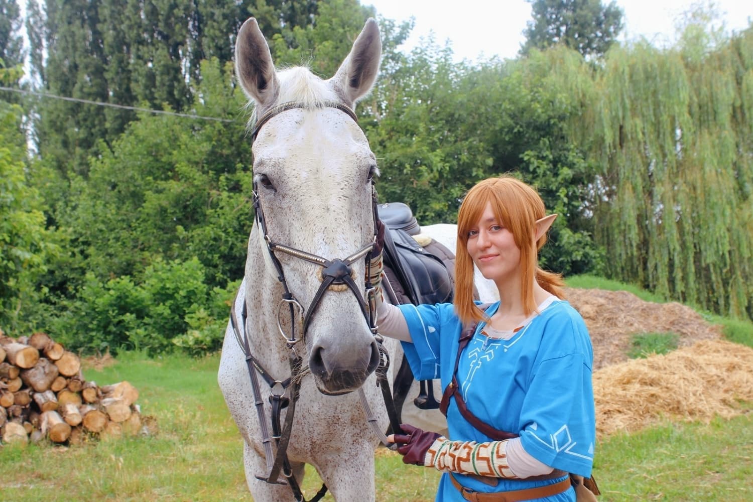 Link (Botw) - Photo 12