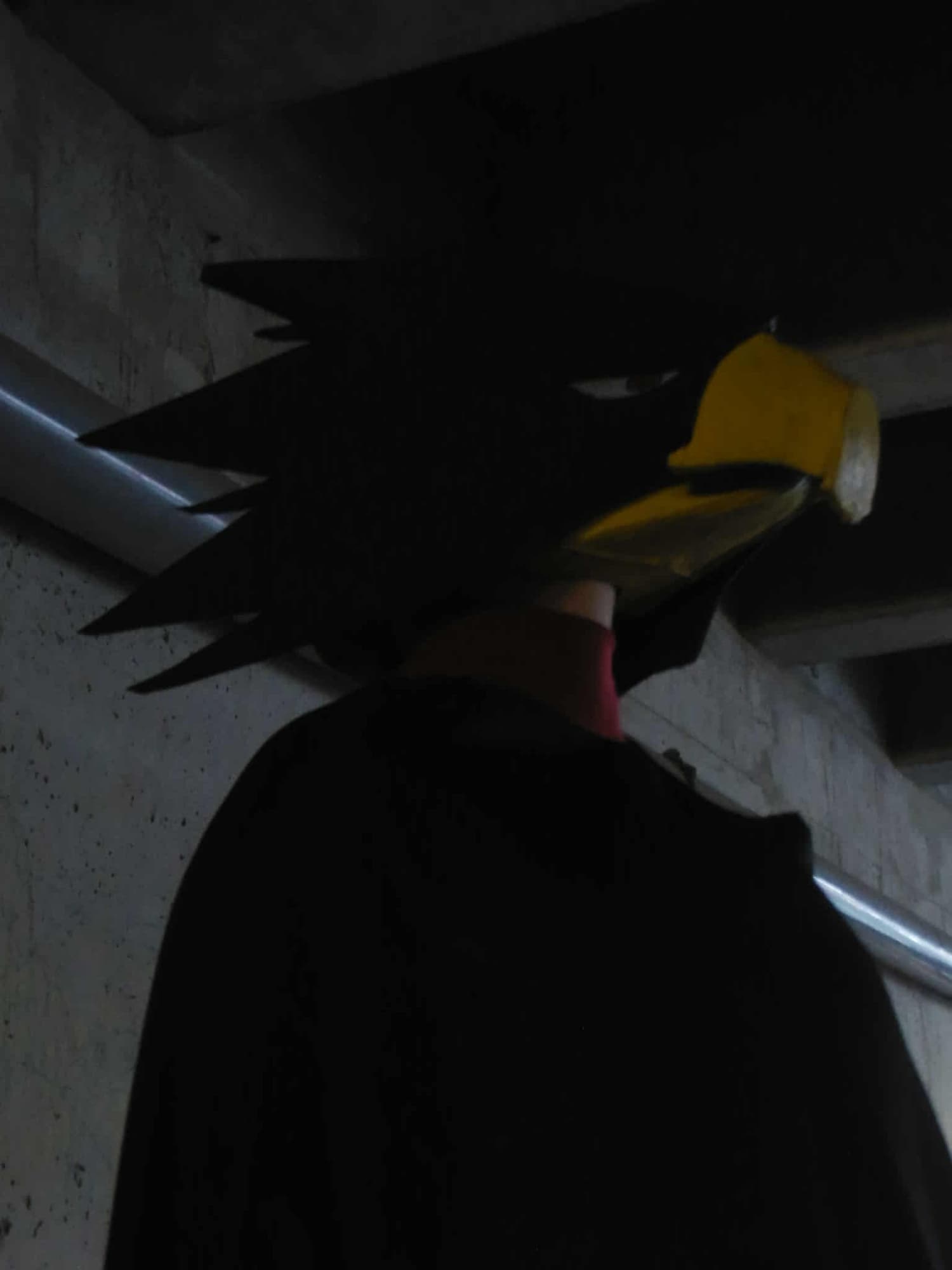 Tokoyami - JapanExpo - Photo 11