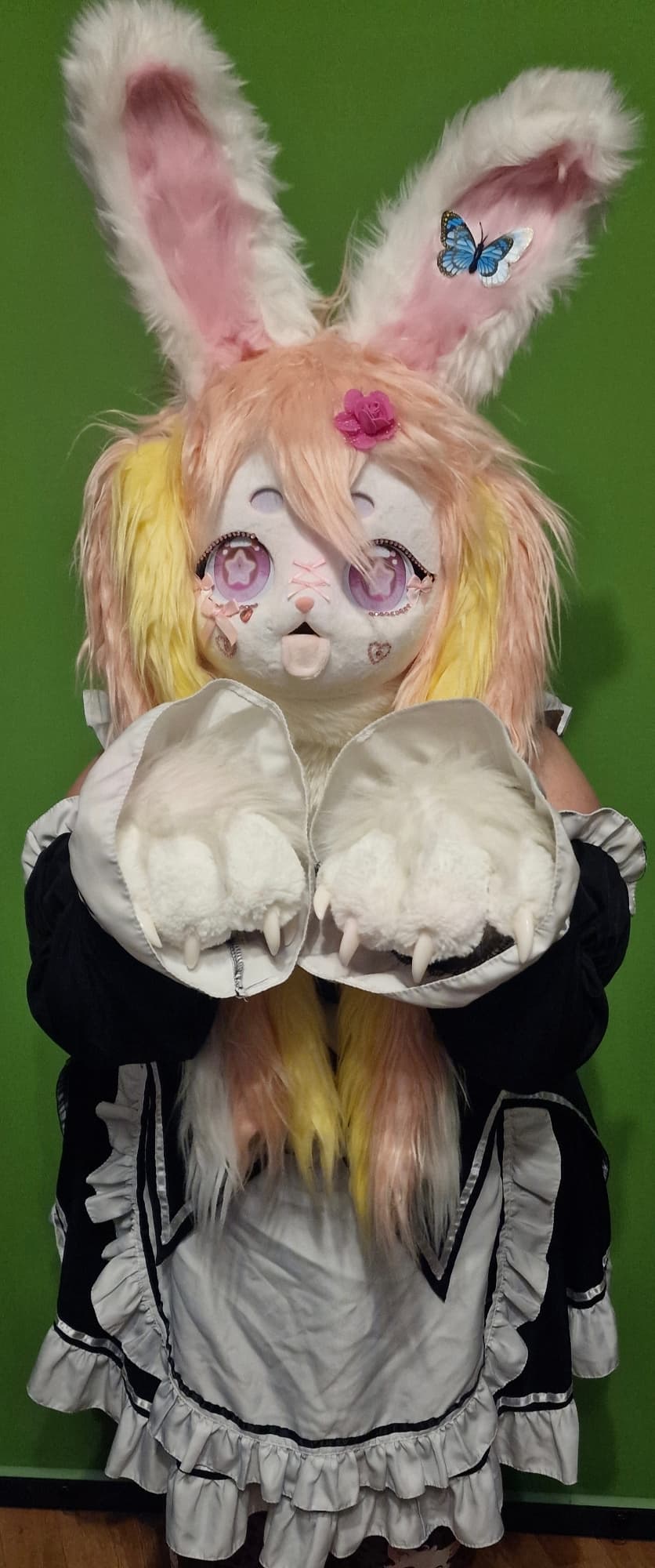 Rosalia Soubrette - Photo 10