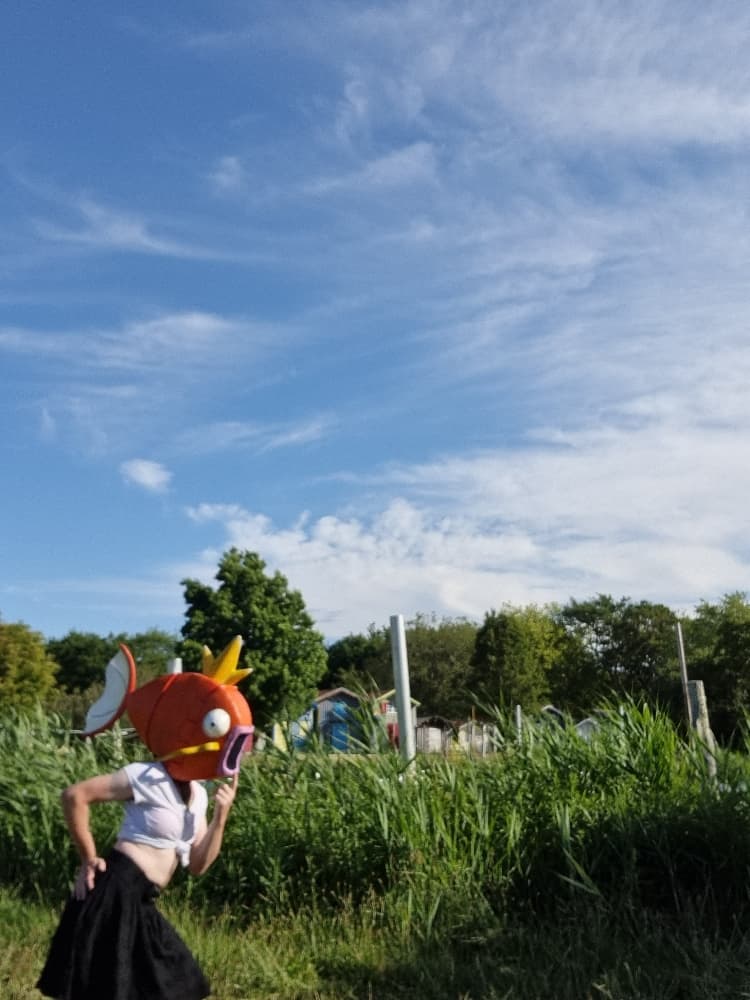 MagicarpettePortBiga - Photo 5