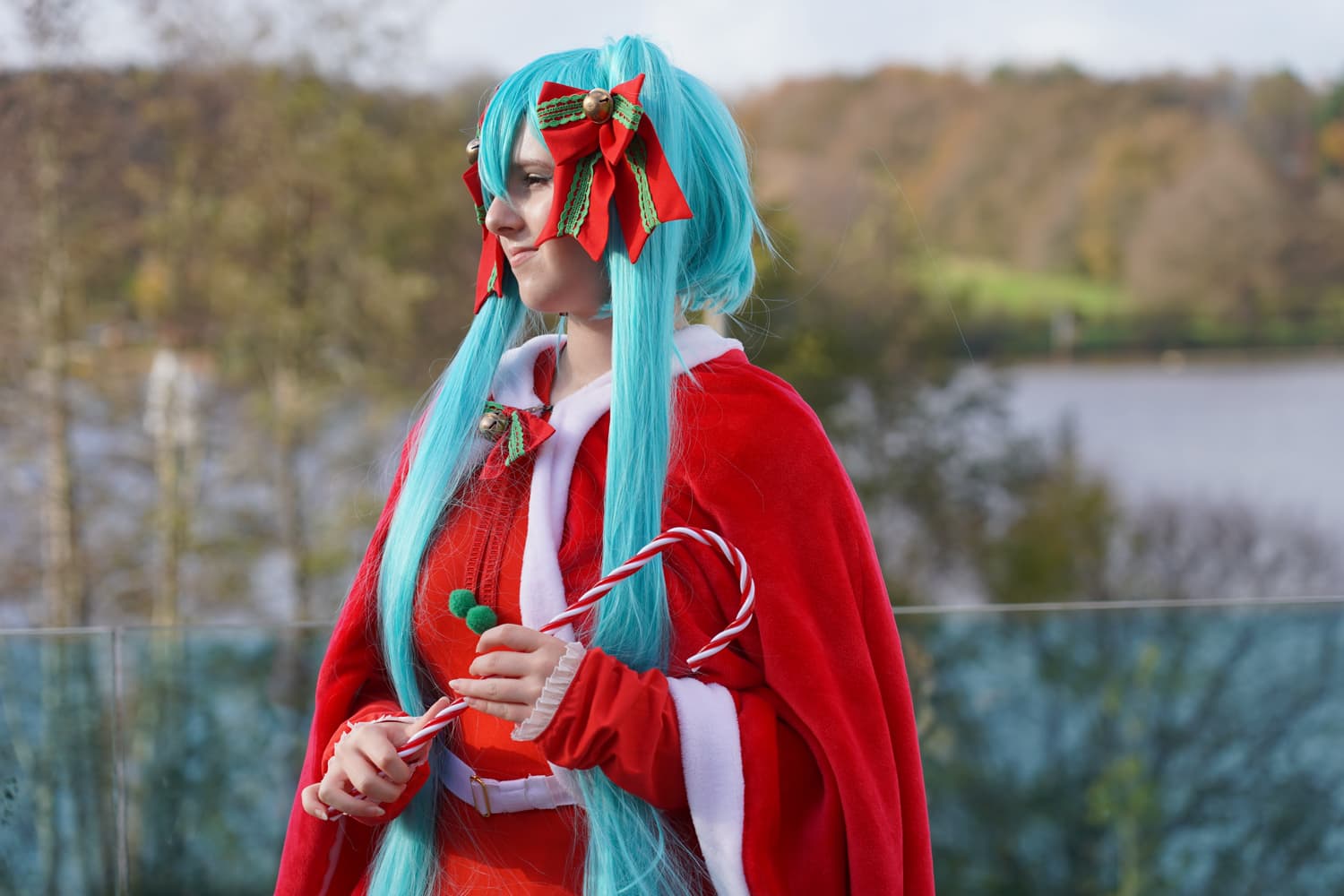 Miku Christmas  - Photo 4