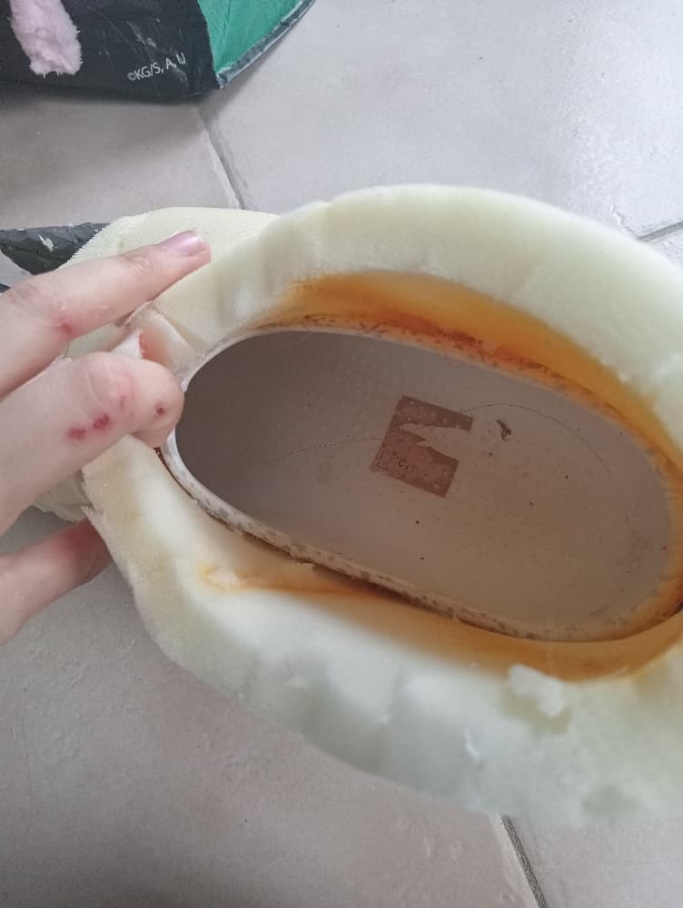 Wip Dogday pied - Photo 9