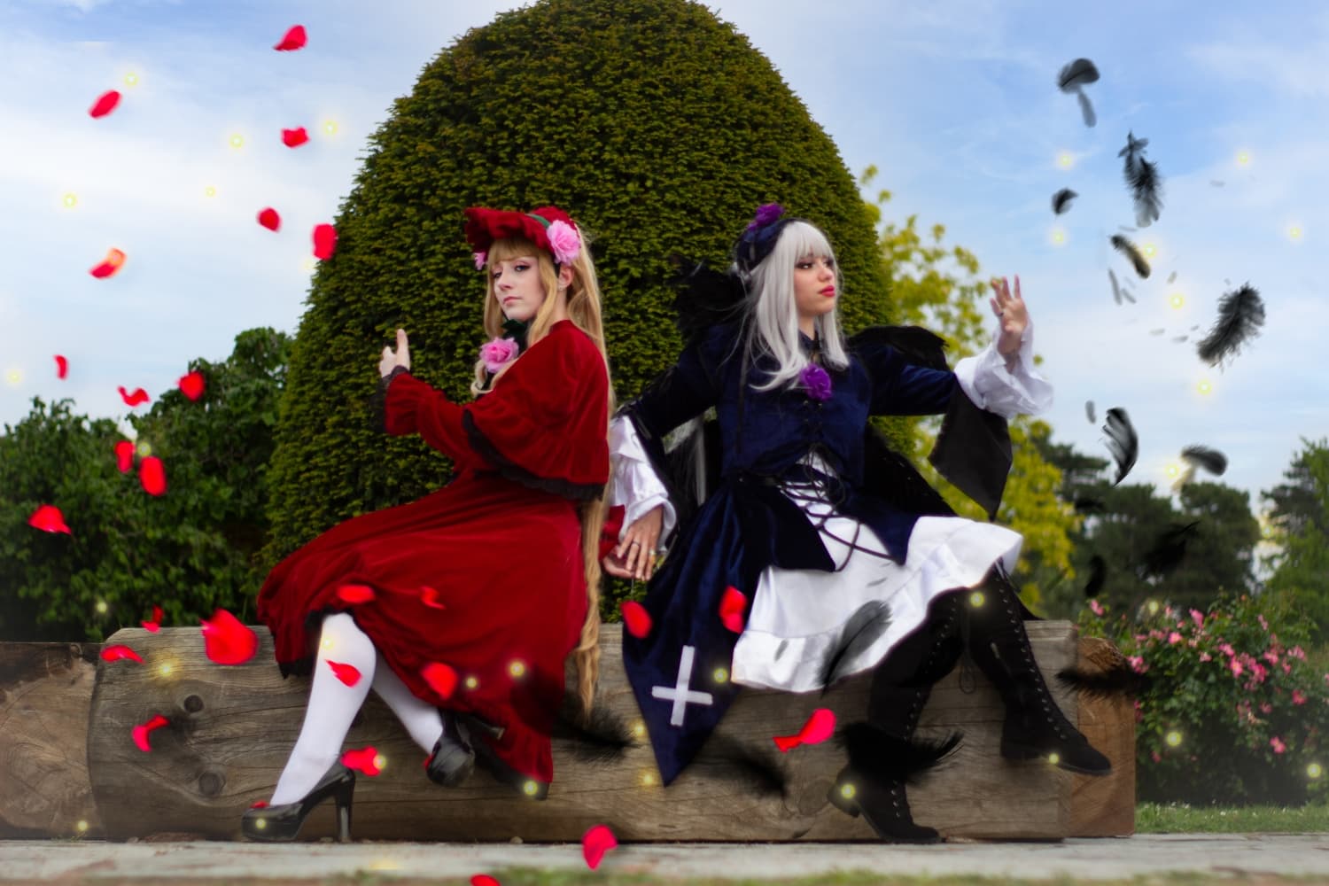 Duo rozen maiden - Photo 7