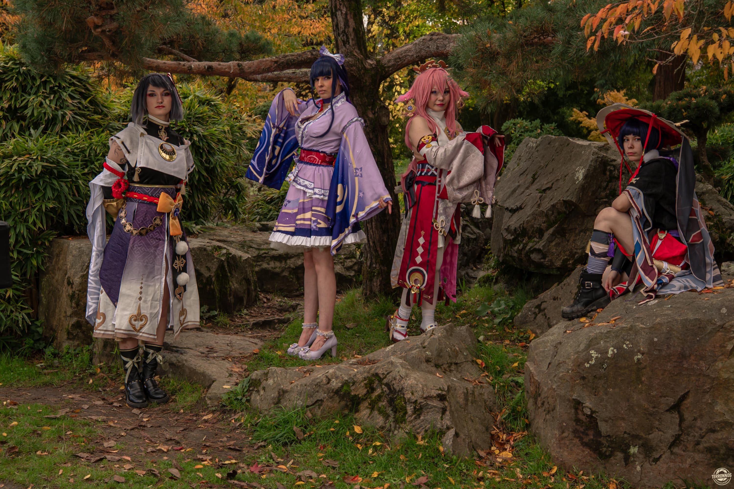 Raiden Shogun - Photo 3