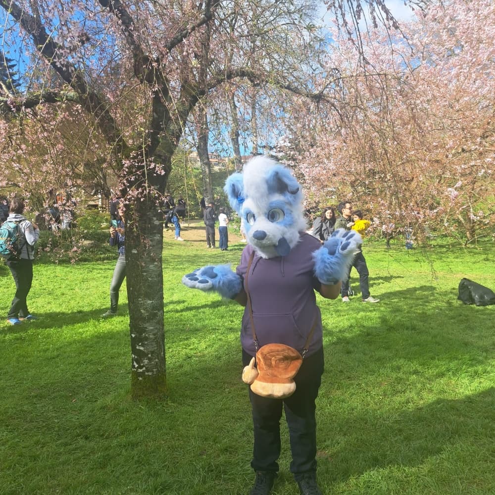 Titan (V2) - Photo 10