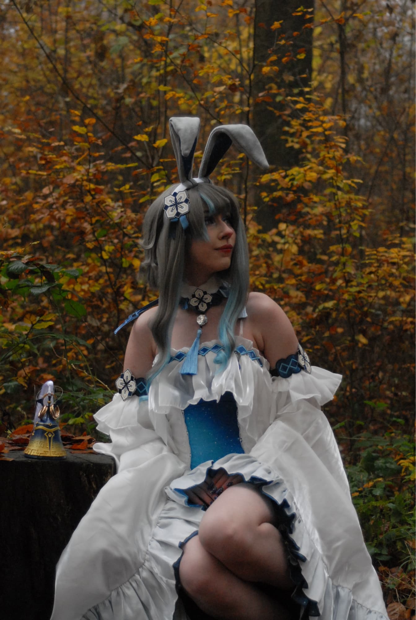 Guizhong Bunny - Photo 24