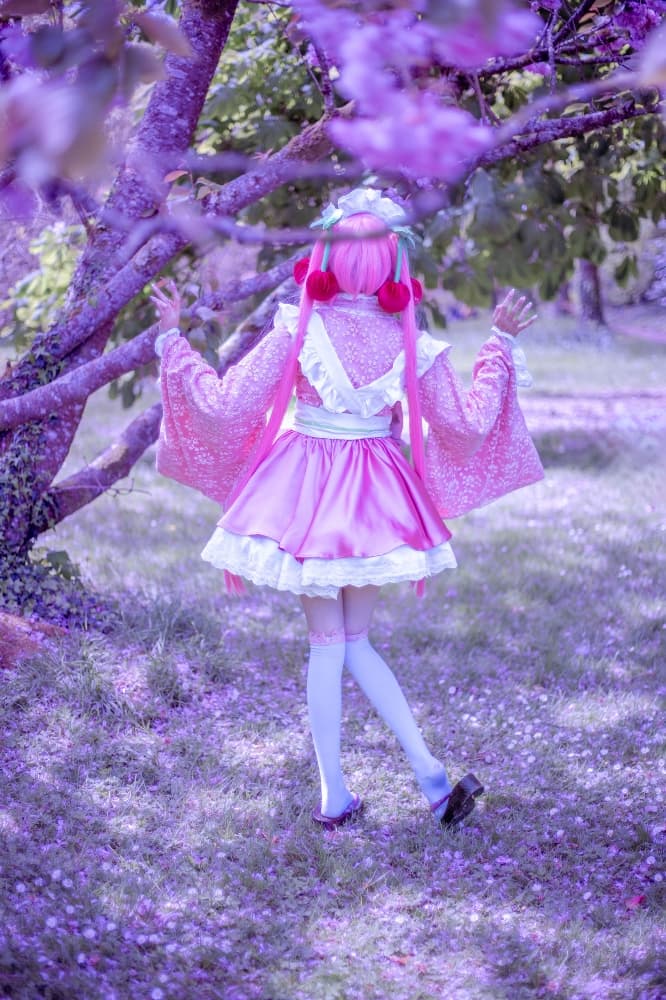 Sakura Miku -Hanami- - Photo 14
