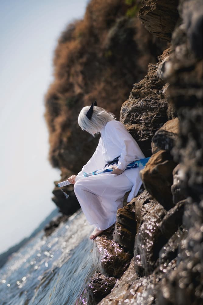 Lugia solo - Photo 4