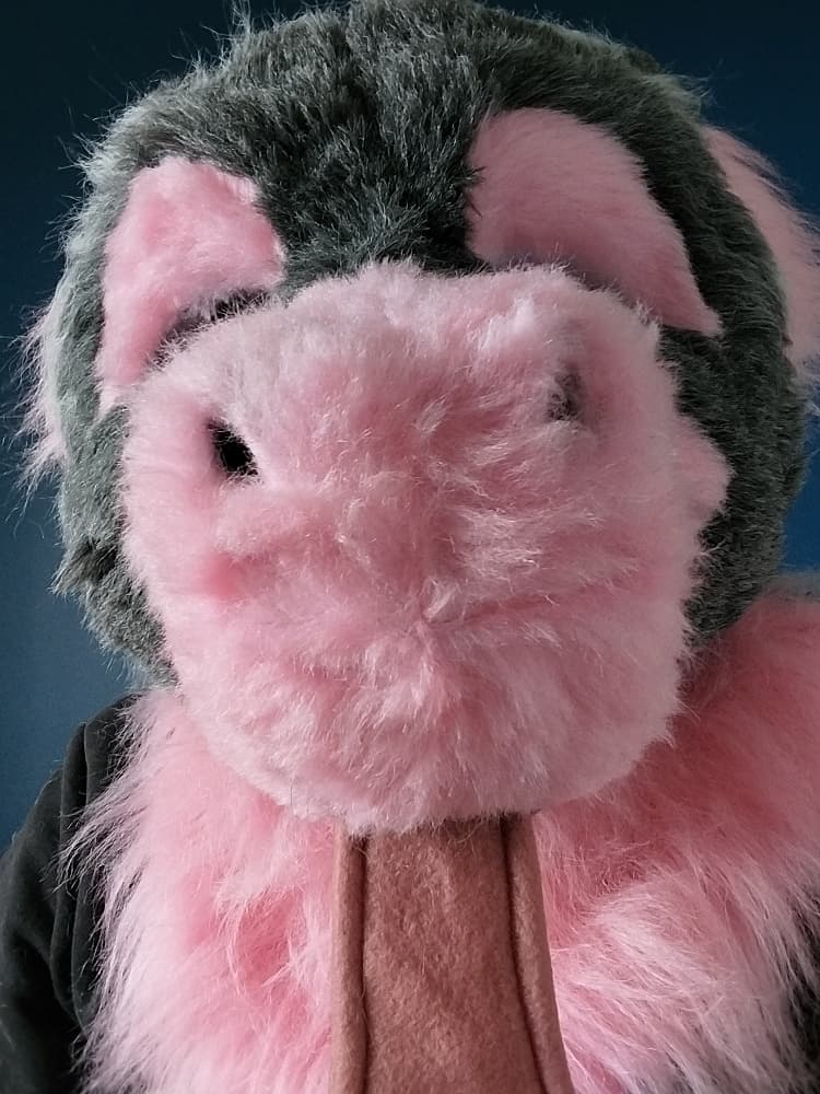 Chaloupinge  - Photo 5