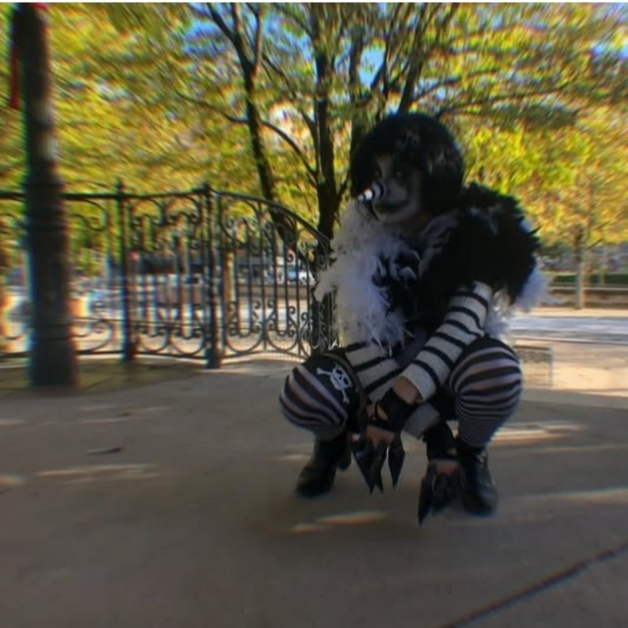 Lauphin jack (creep. - Photo 1