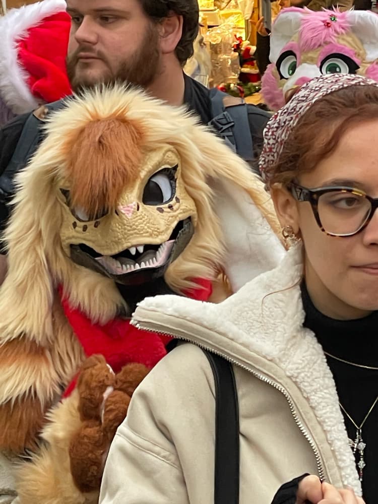 Photos Tapioca - Photo 20