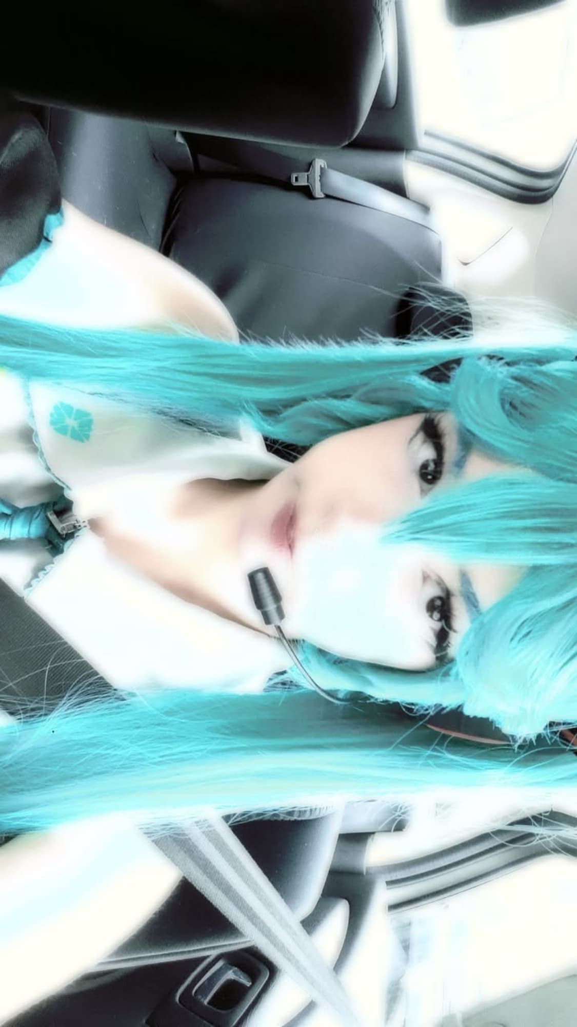 Miku - Photo 10