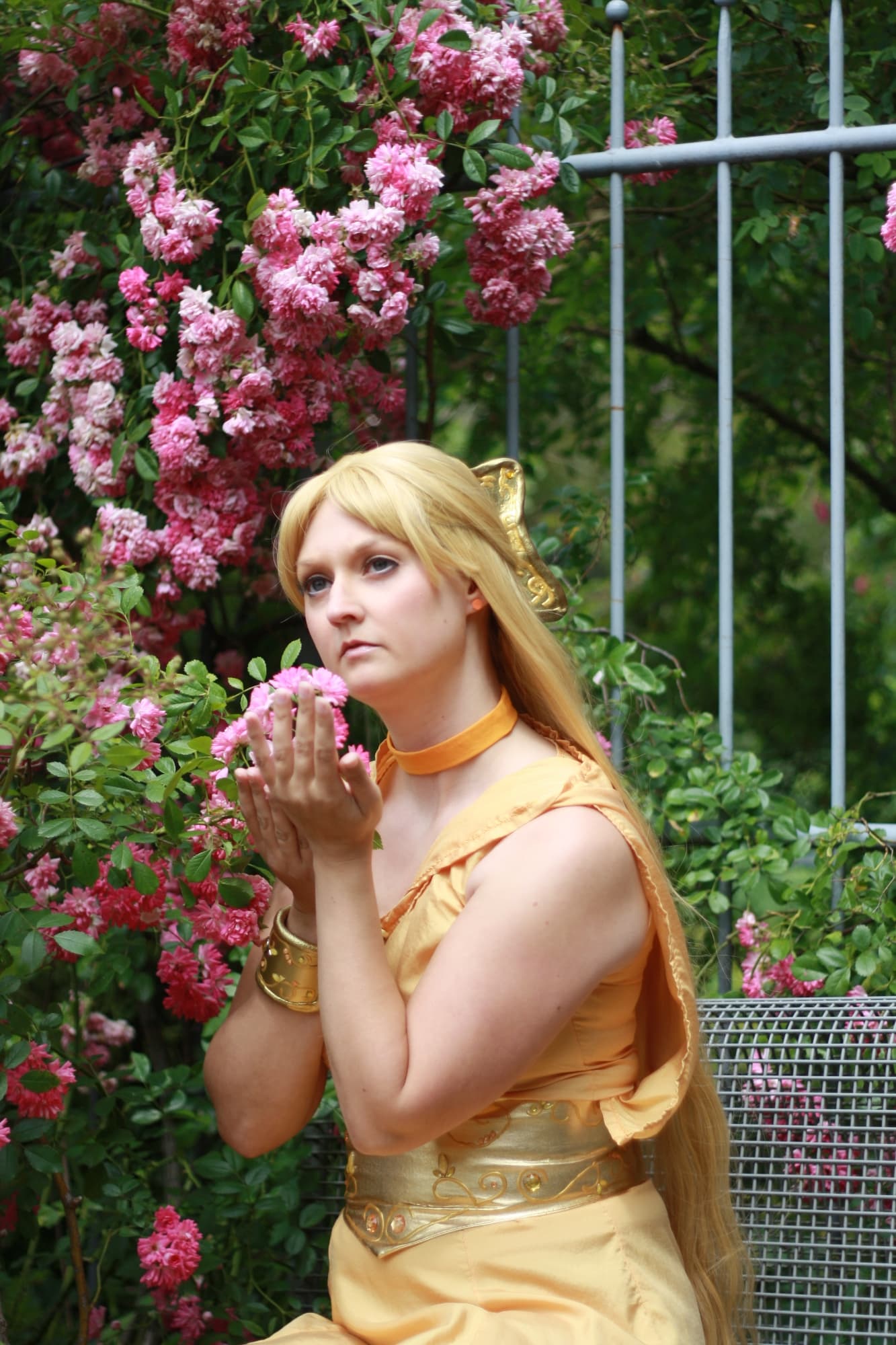 Princess Venus-Anime - Photo 6