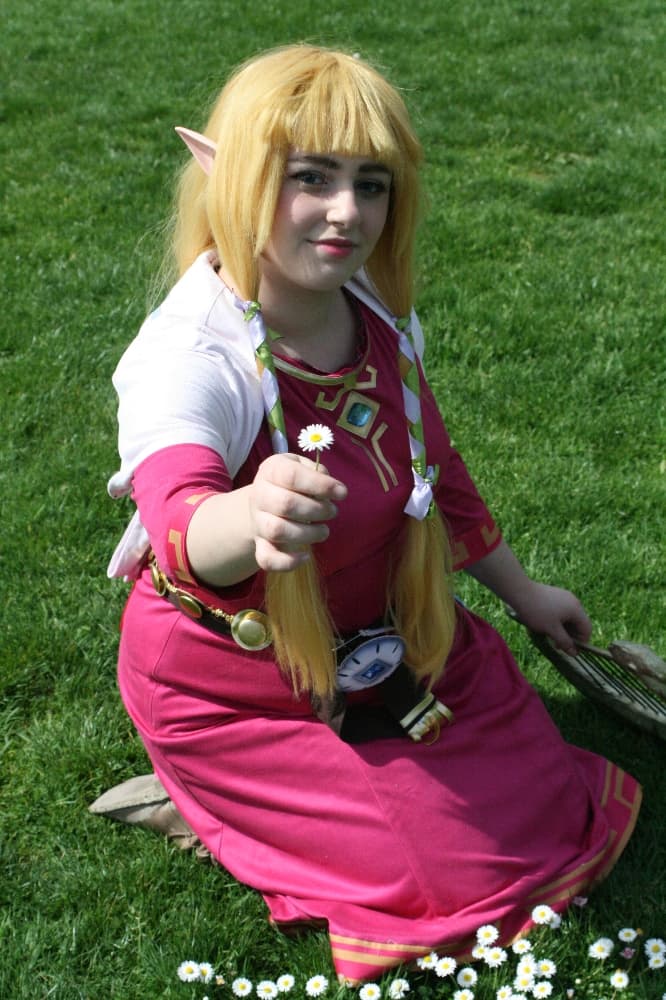 Zelda Skyward Sword  - Photo 11