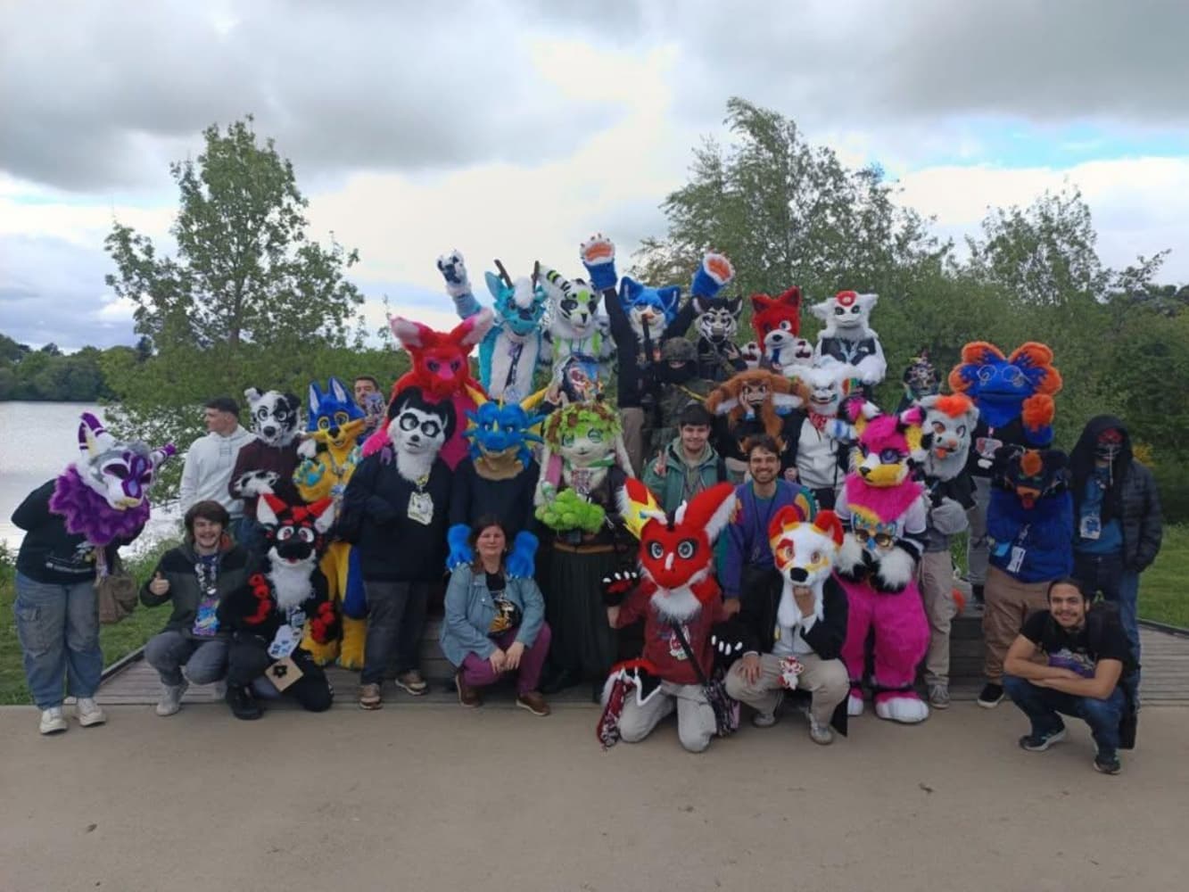 Stellar à japanante - Photo 9