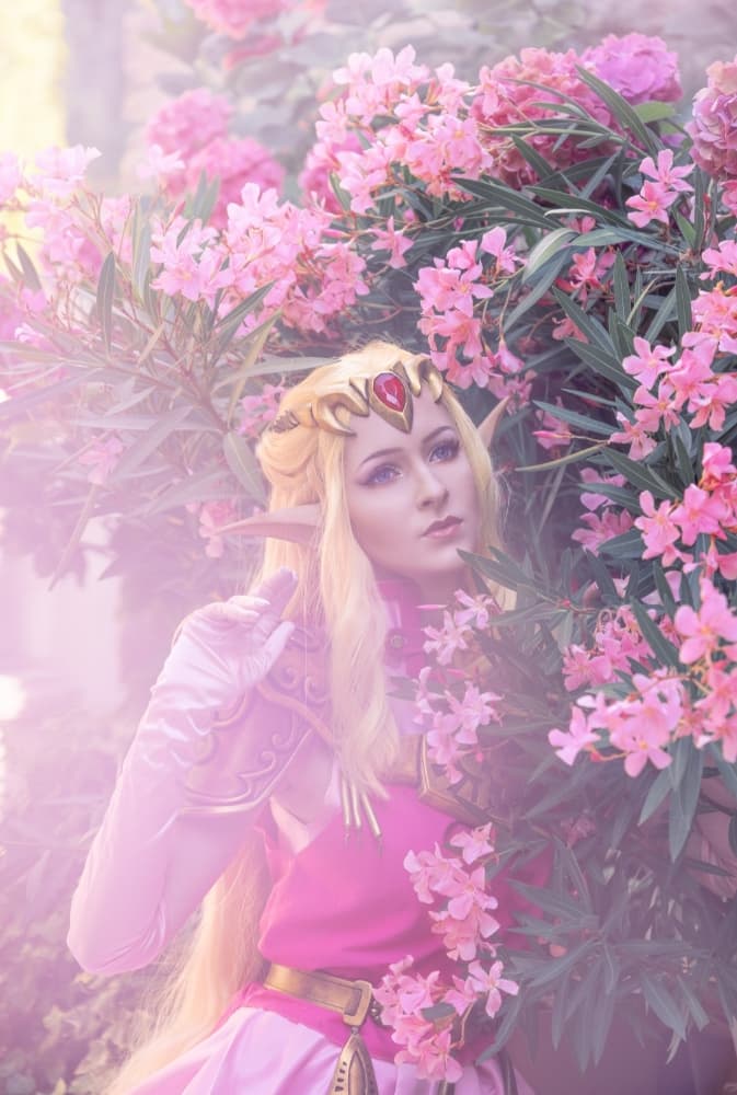 Private - Zelda OoT - Photo 5