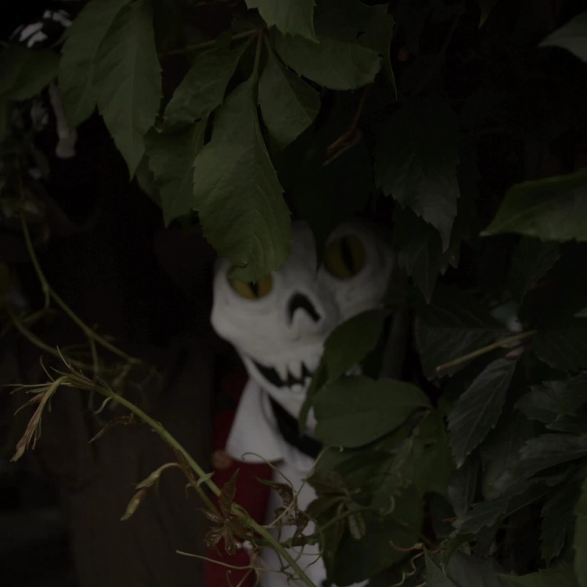 Itward @ Animagic - Fran Bow cosplay photoshoot cover