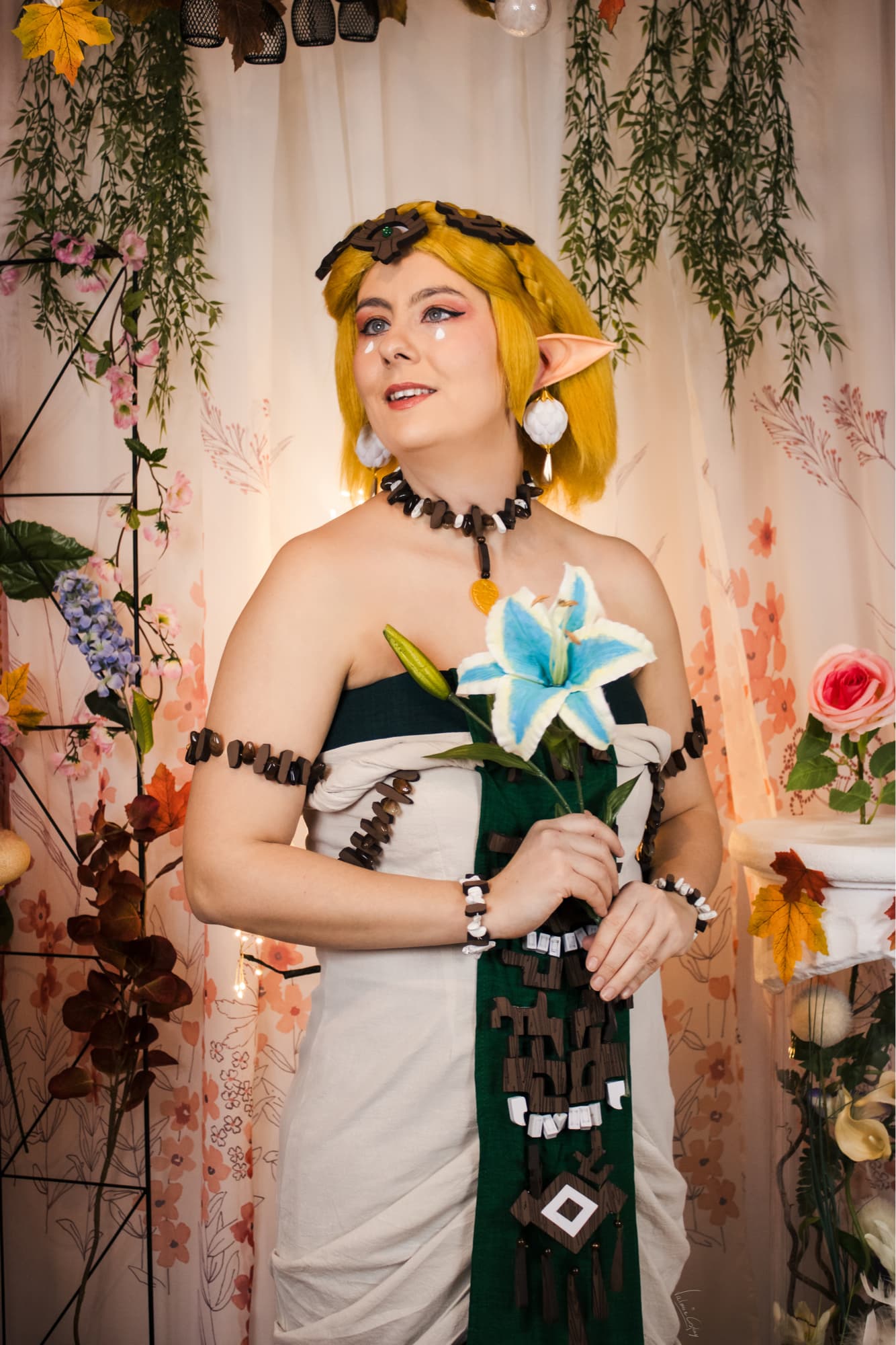 Zelda TotK