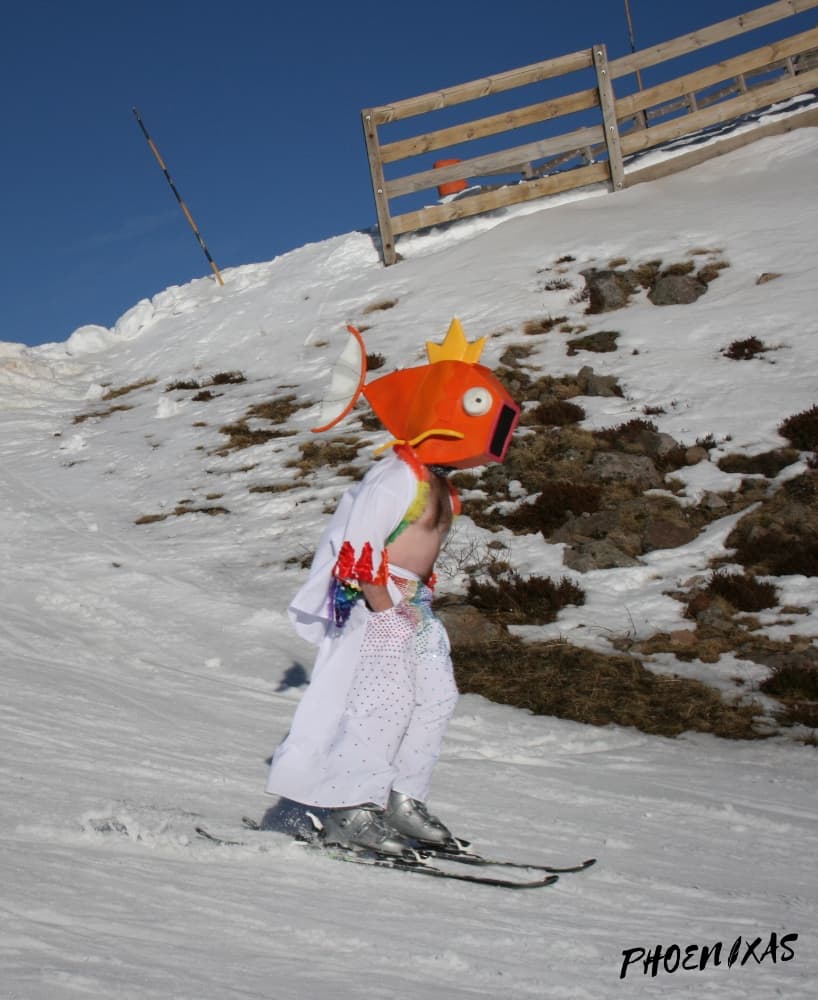 Magipride fait duSki - Photo 25