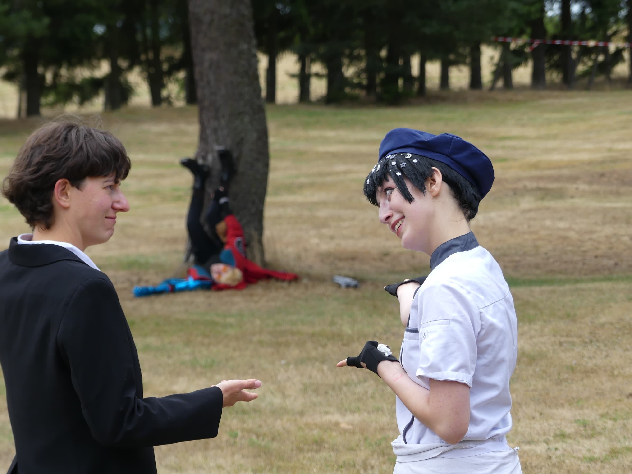 Gevaudan pop culture - Photo 8