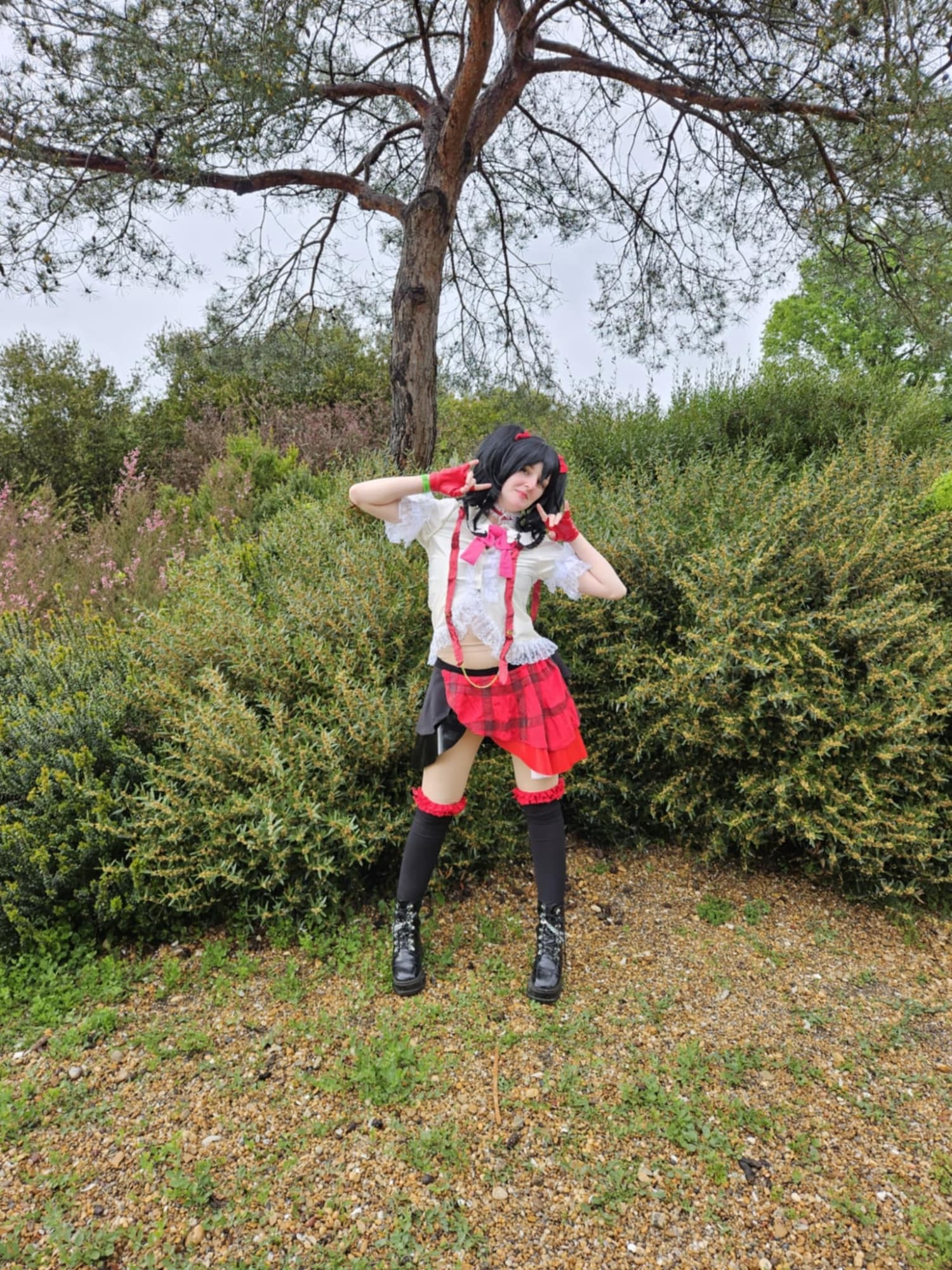 Nico Yasawa  - Photo 1