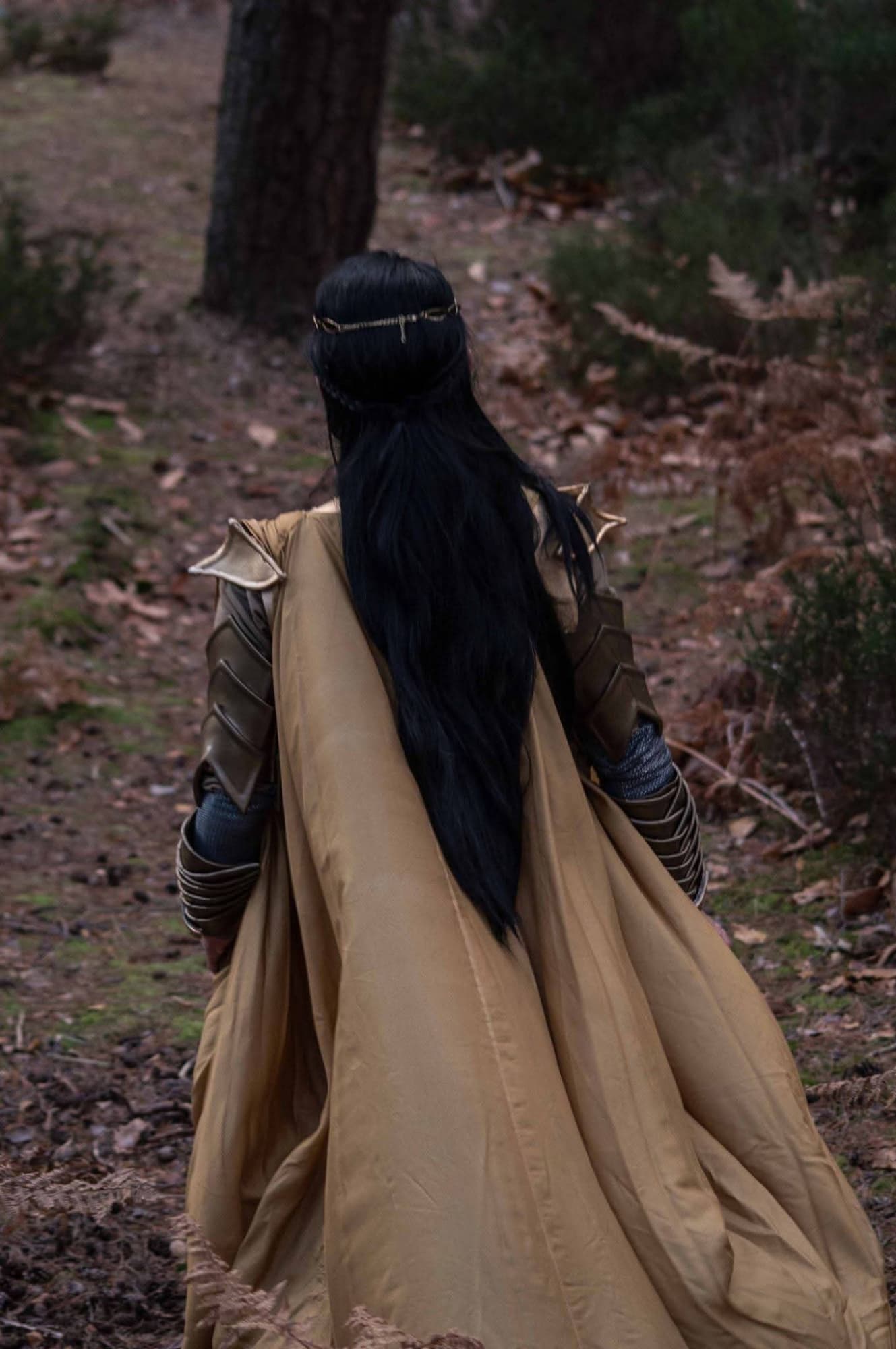 Elrond  - Photo 7