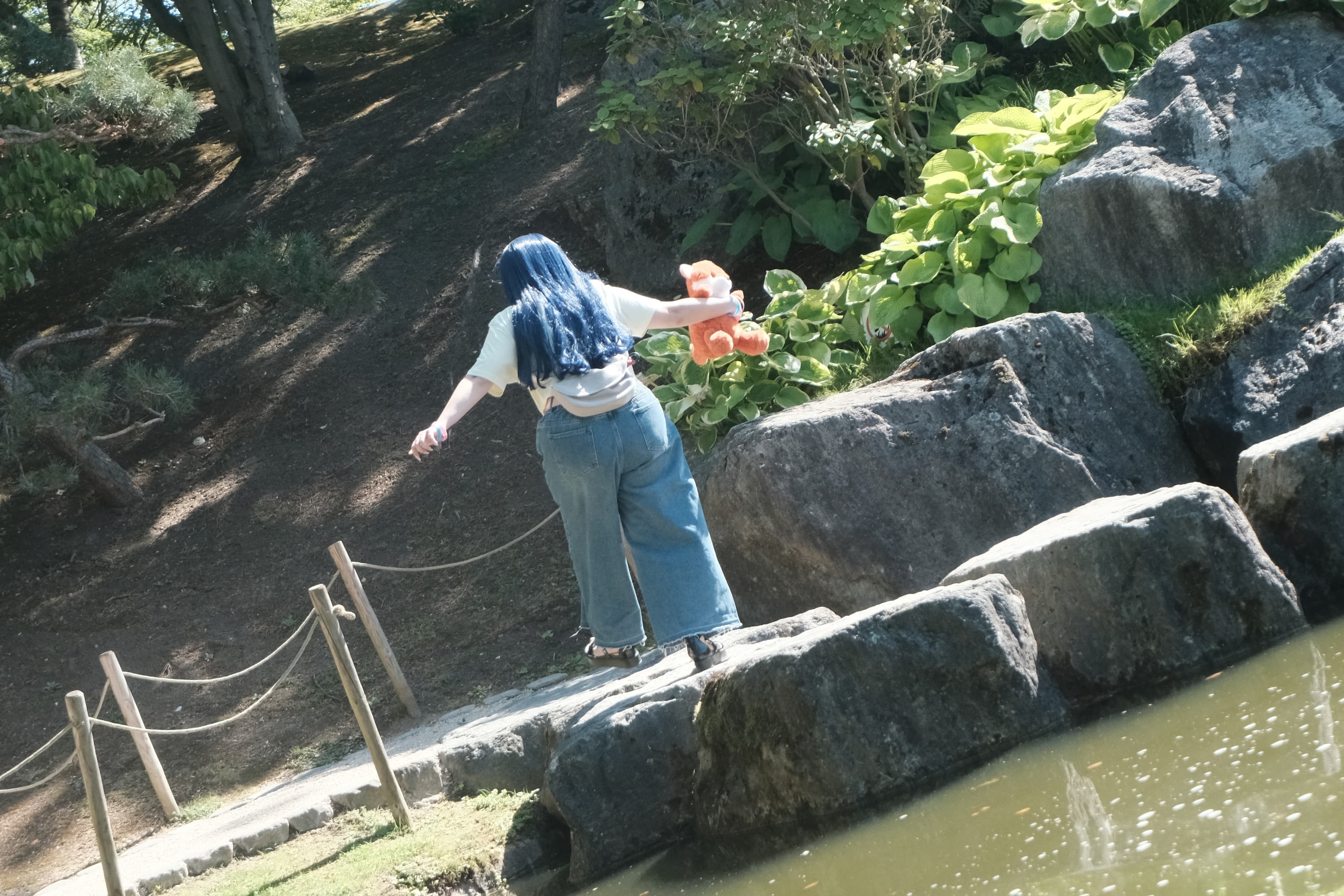 Himawari  - Photo 30