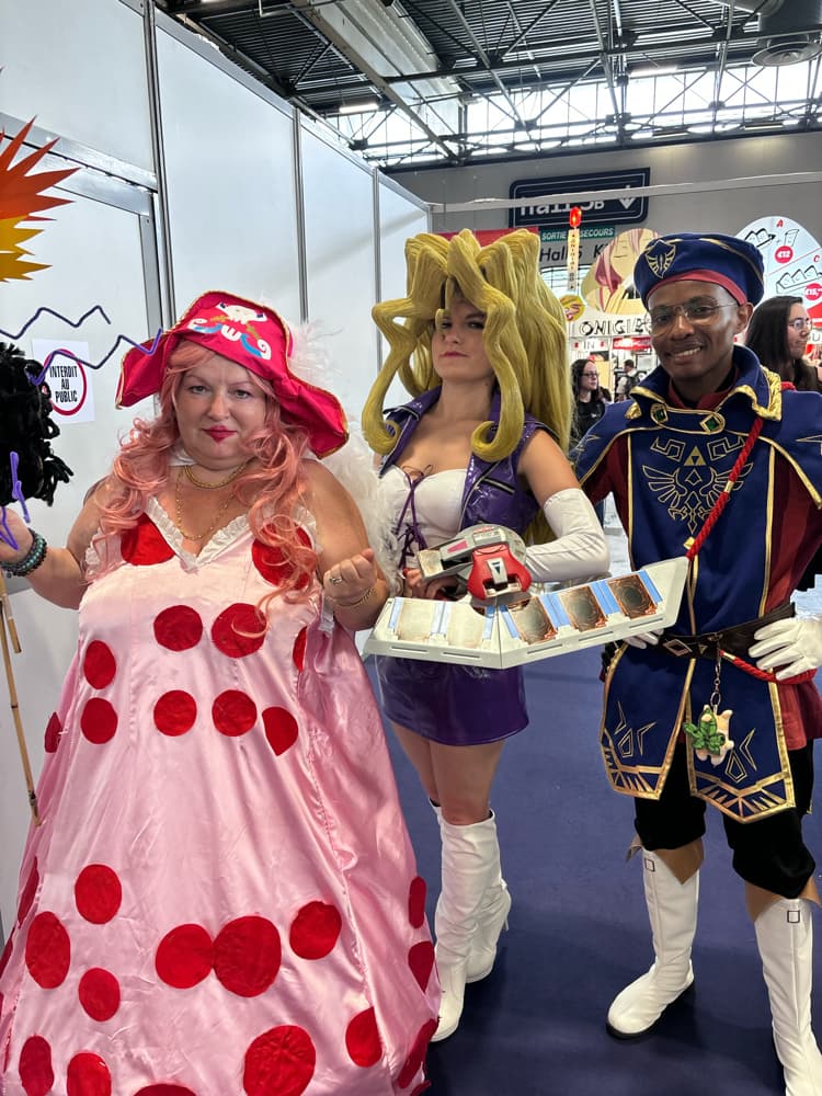 Link royal guard - Photo 2