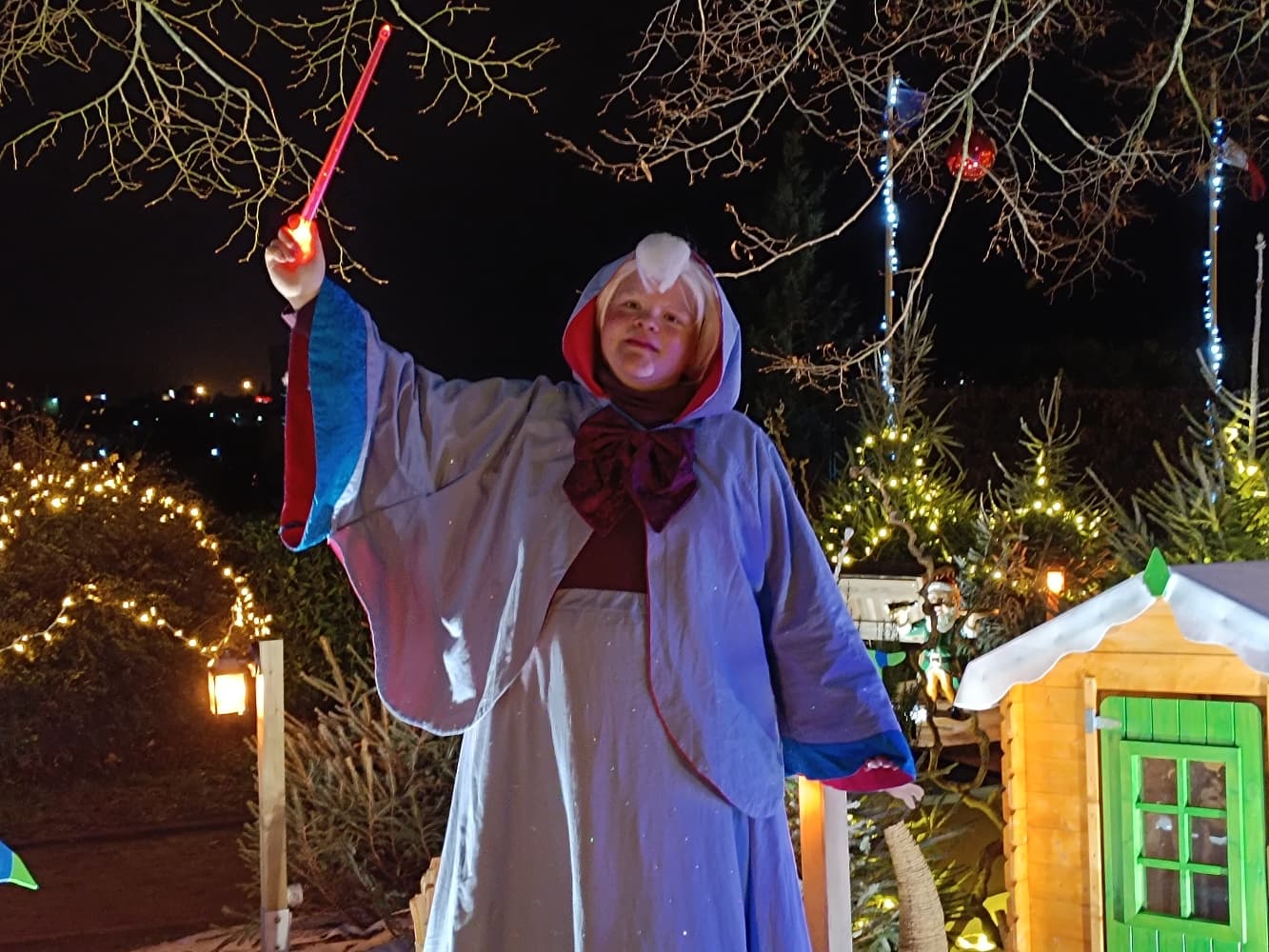 Bonne fée de Noël  - Photo 27