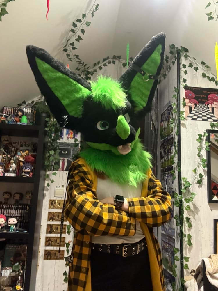 Photos Razzor - Photo 3