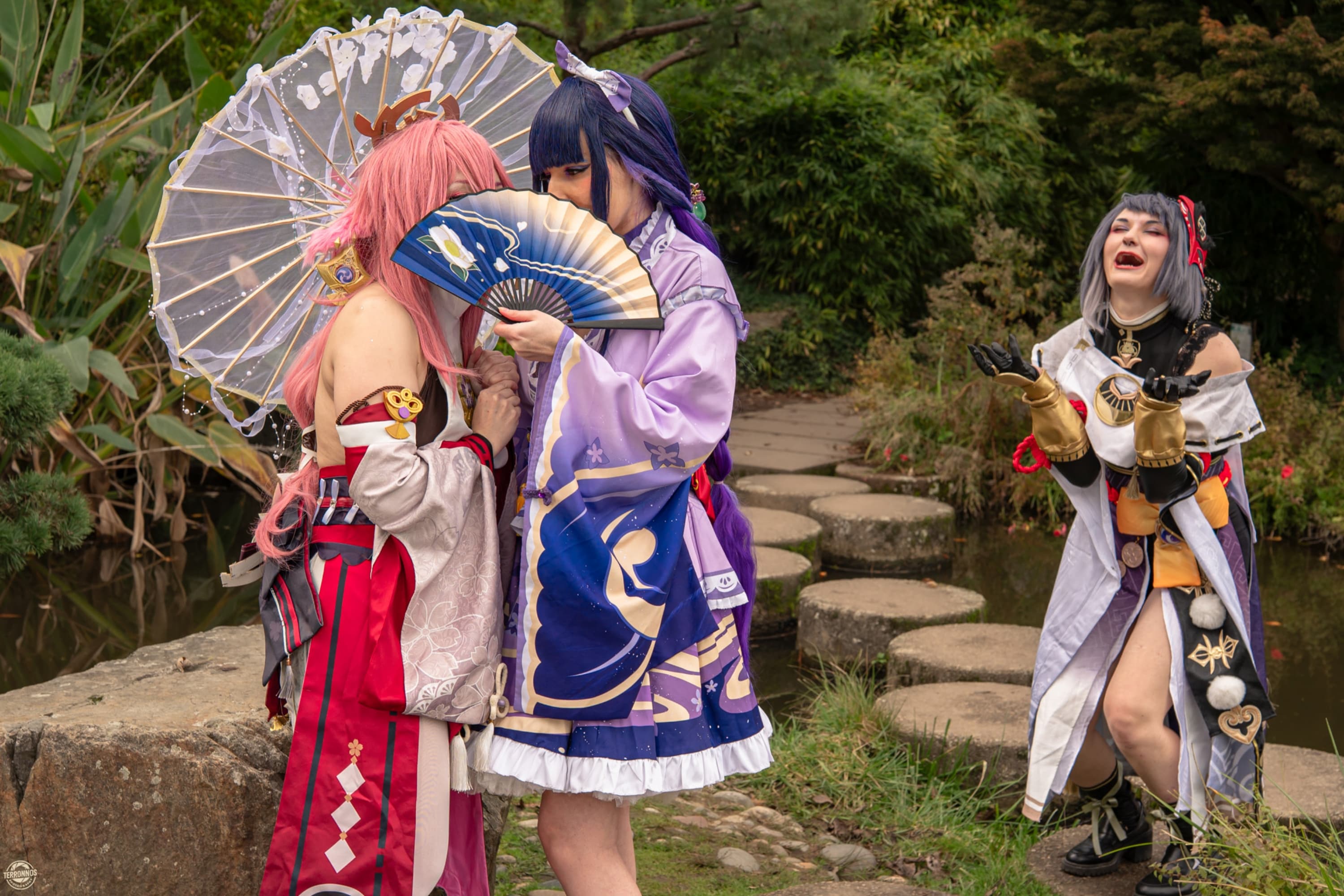 Raiden Shogun - Photo 2