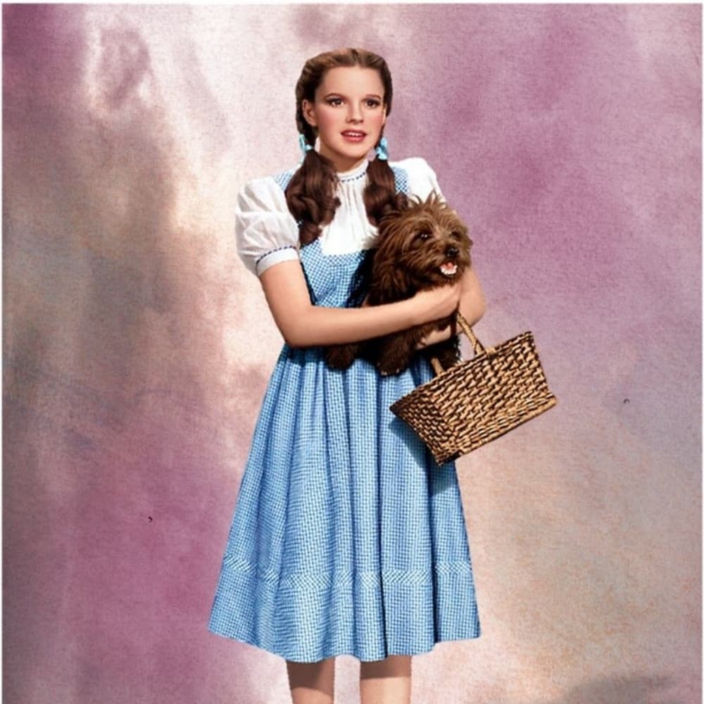 Dorothy 
