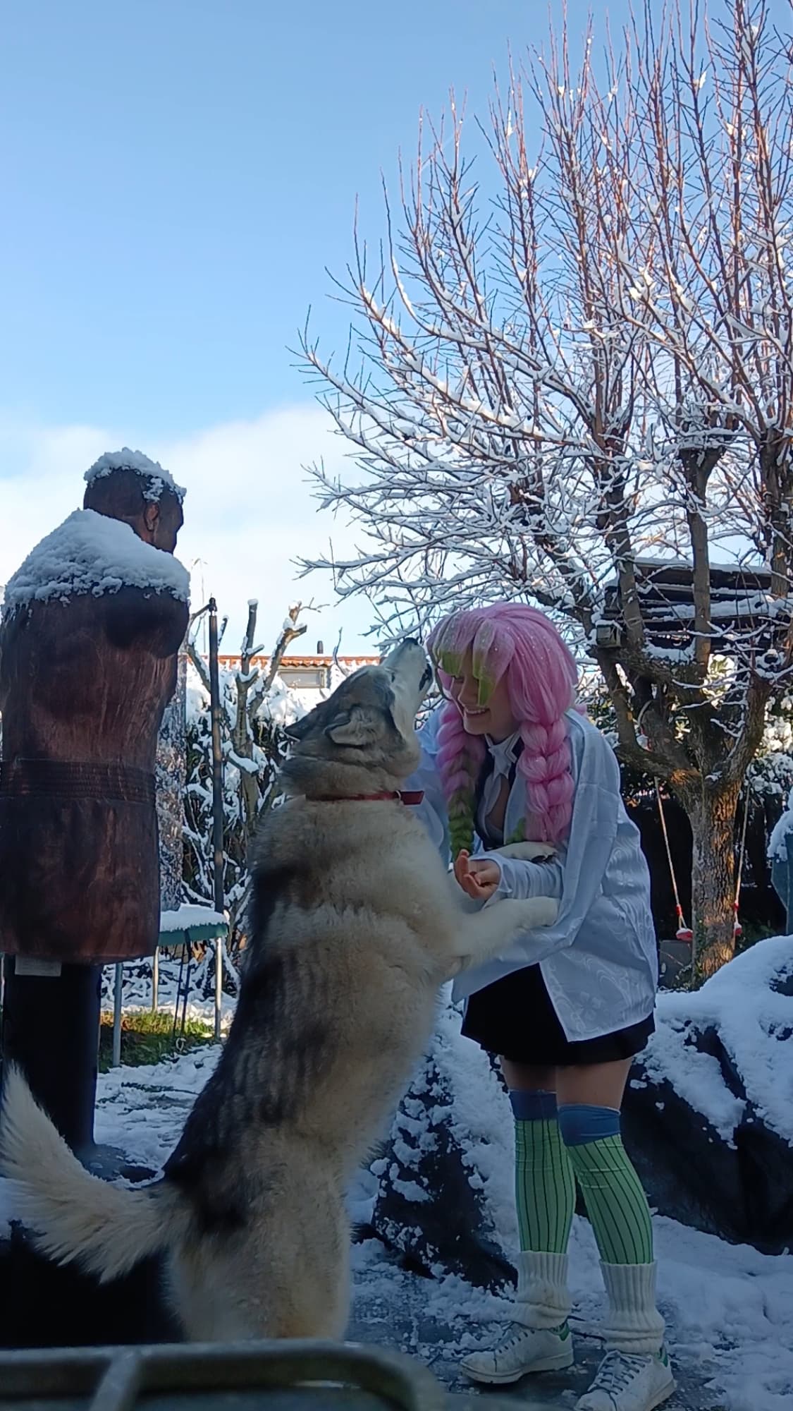 Mitsuri Kanroji - Photo 27