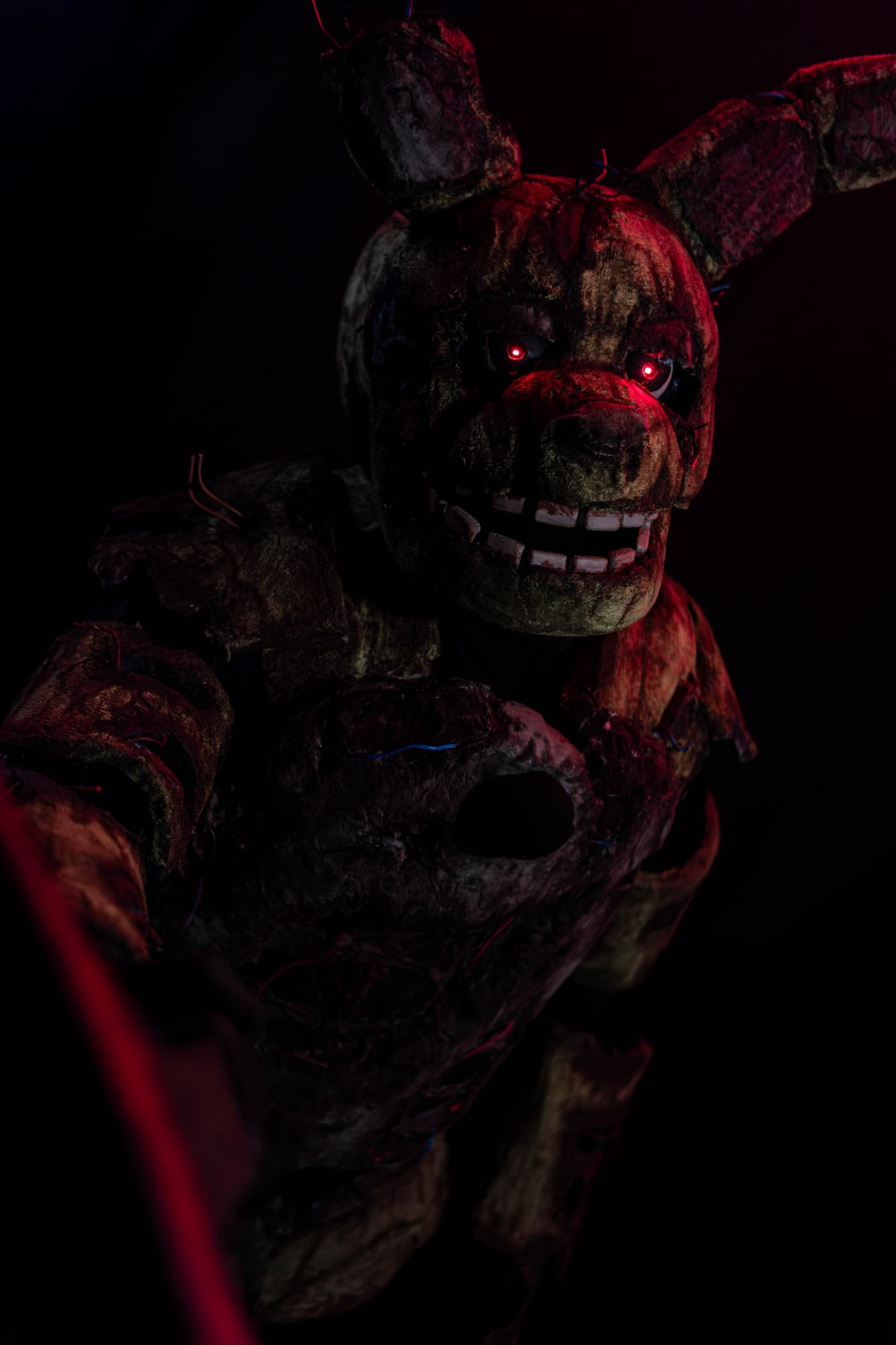 Shoot special - Photo 8