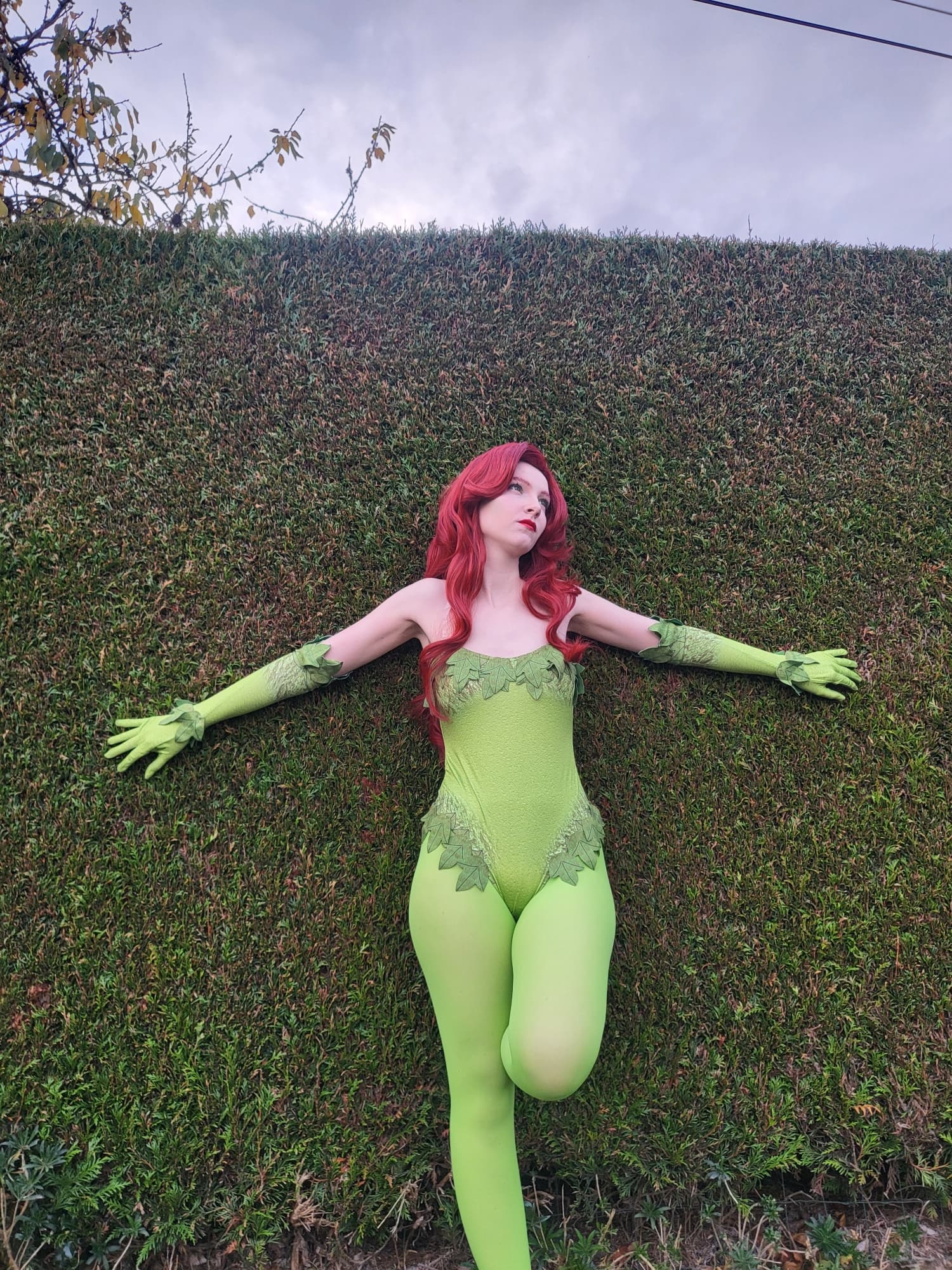 Halloween 2025 - Photo 5