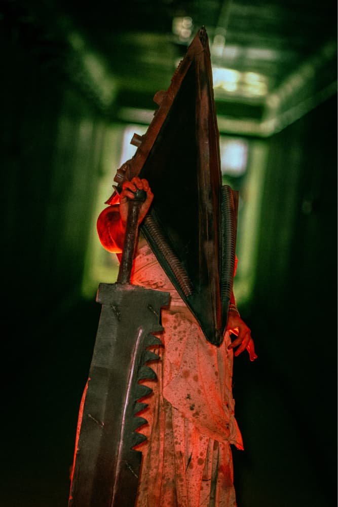 Pyramid head  - Photo 6
