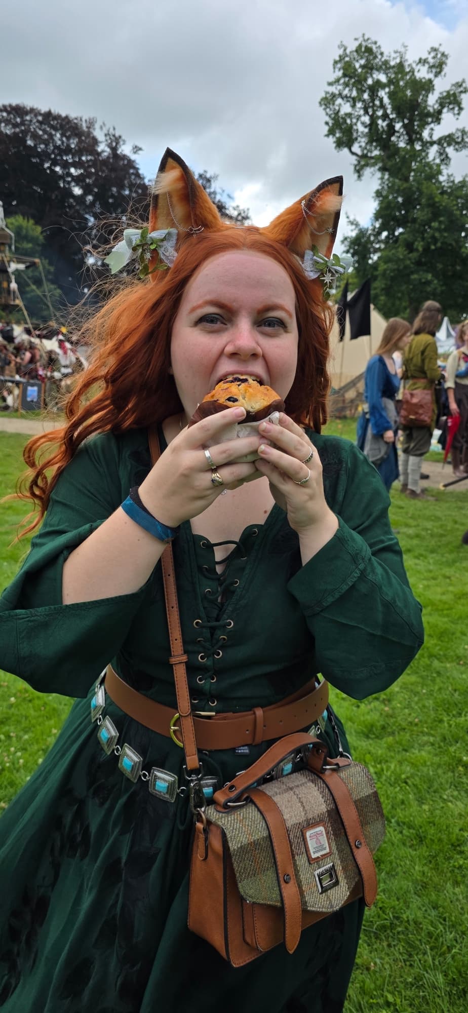 Summer fox  - Photo 4